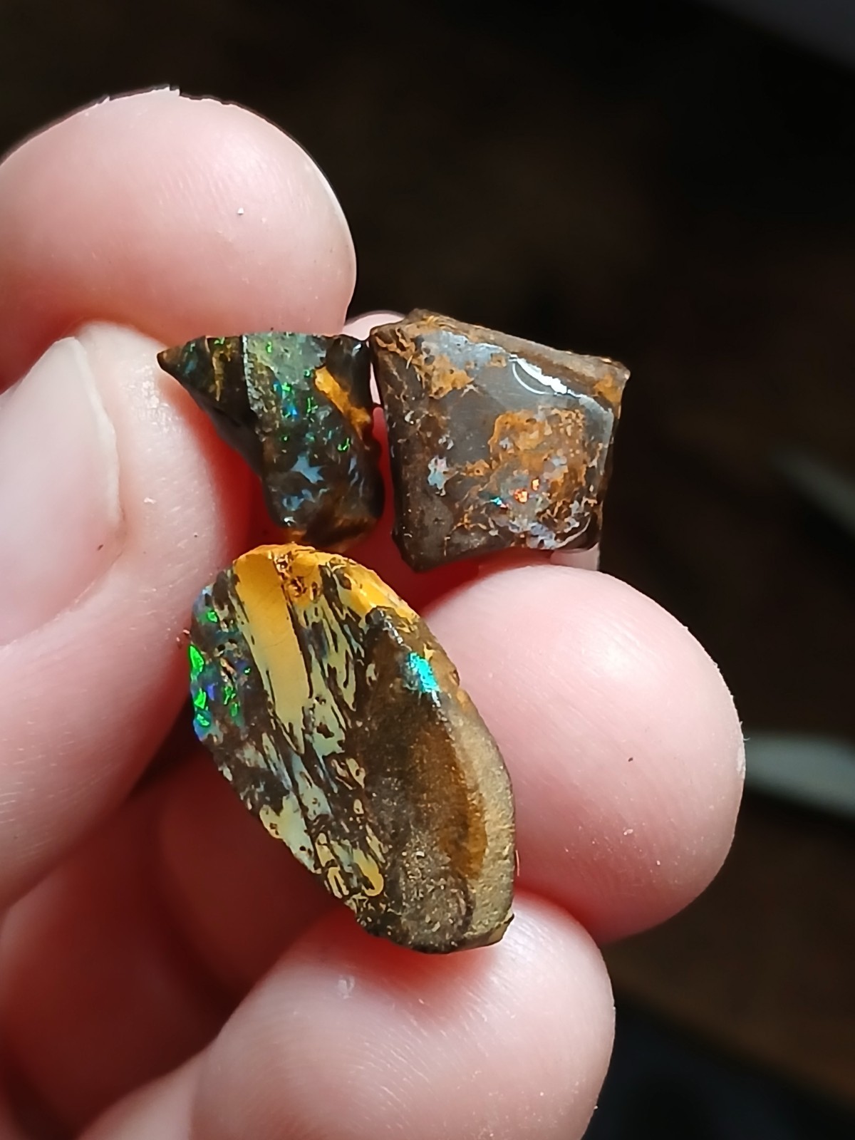 Australia Boulder Opal Unknown Field R2061 Specimen 12 Total Carat Blue Green
