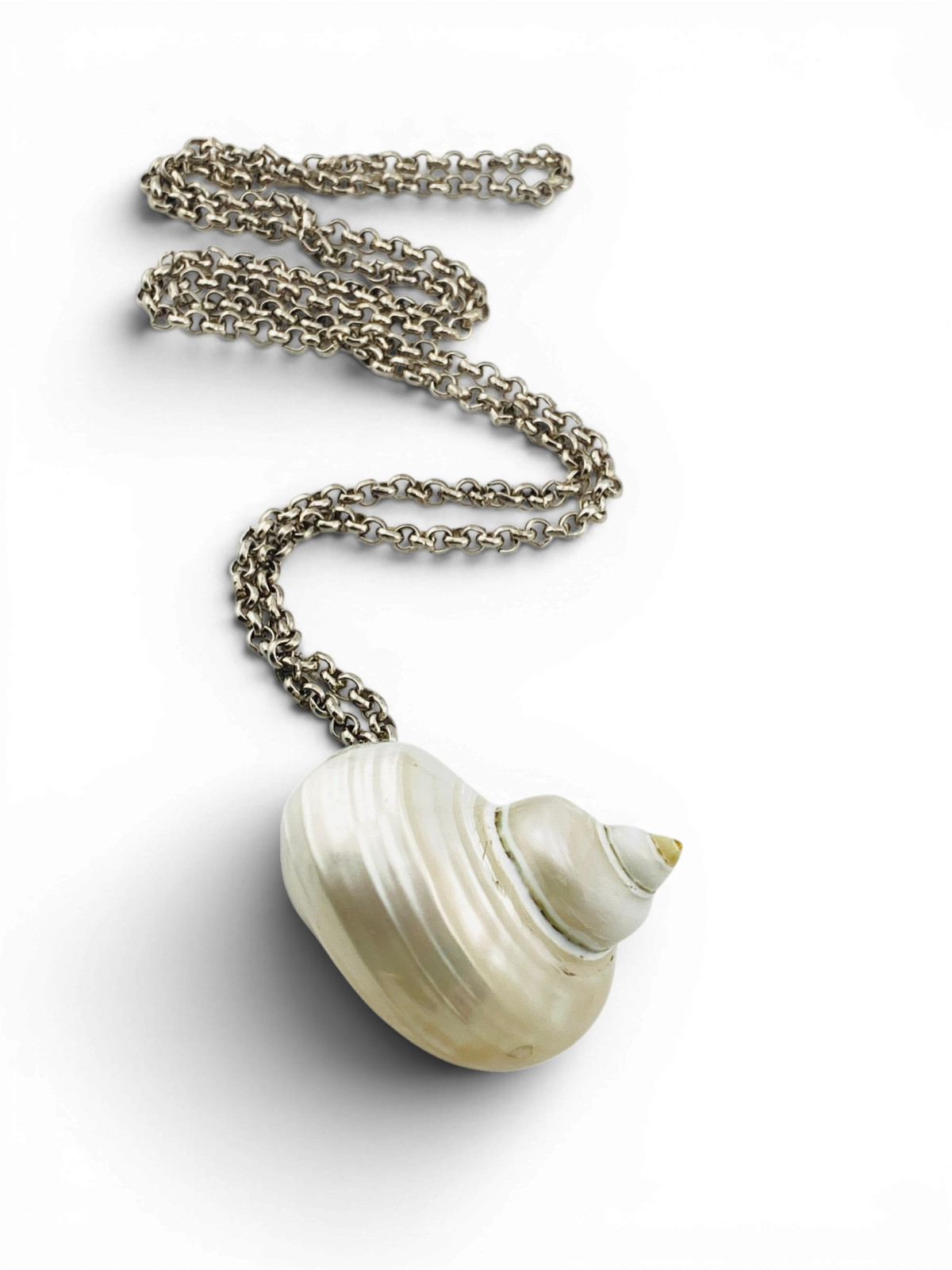 Vintage Real Shell Locket Pendant Necklace Hinged Box Long Chain 27 Inch