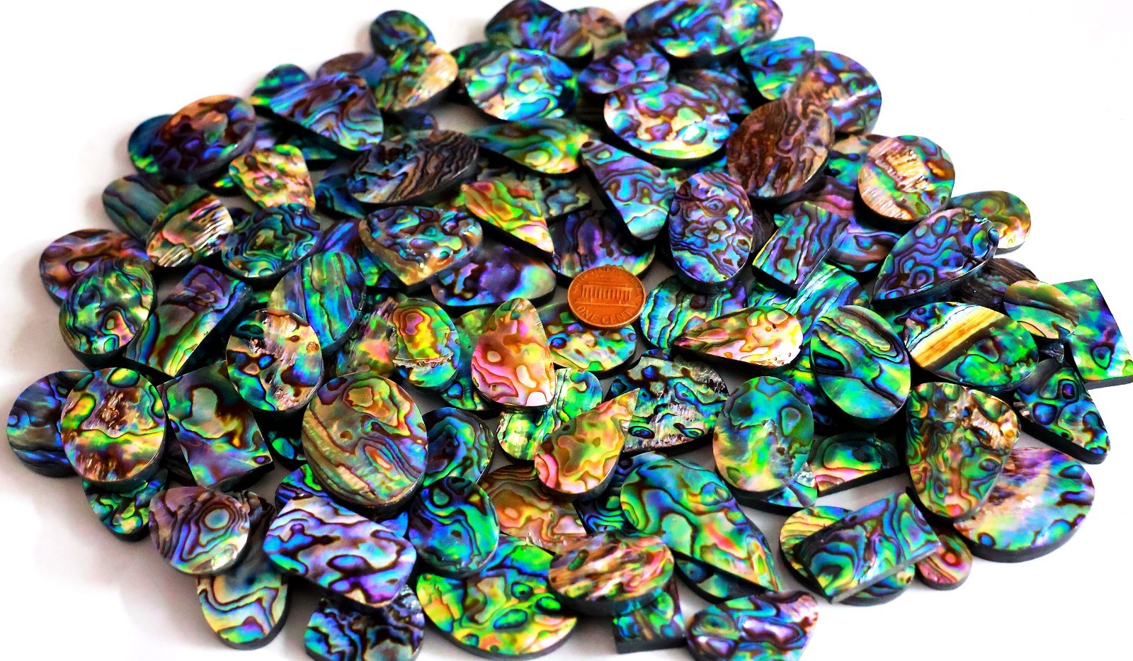 500 CT WHOLESALE LOT NATURAL RAINBOW FIRE ABALONE SHELL CABOCHAN GEMSTONE