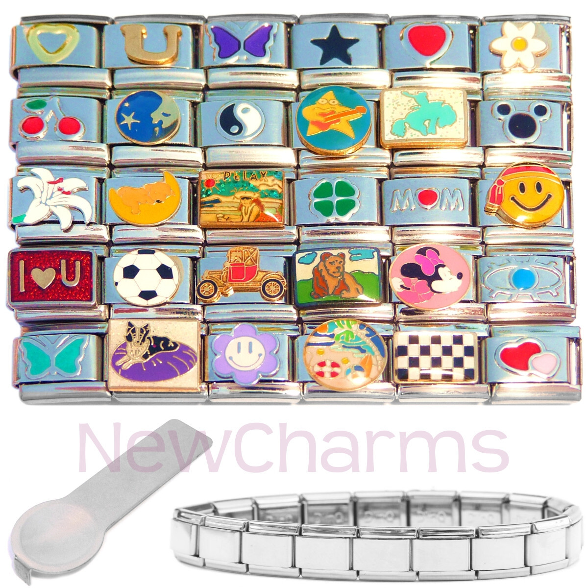 Set of 30 Italian Charms as Pictured with Starter Bracelet Jewelry & Charm Tool