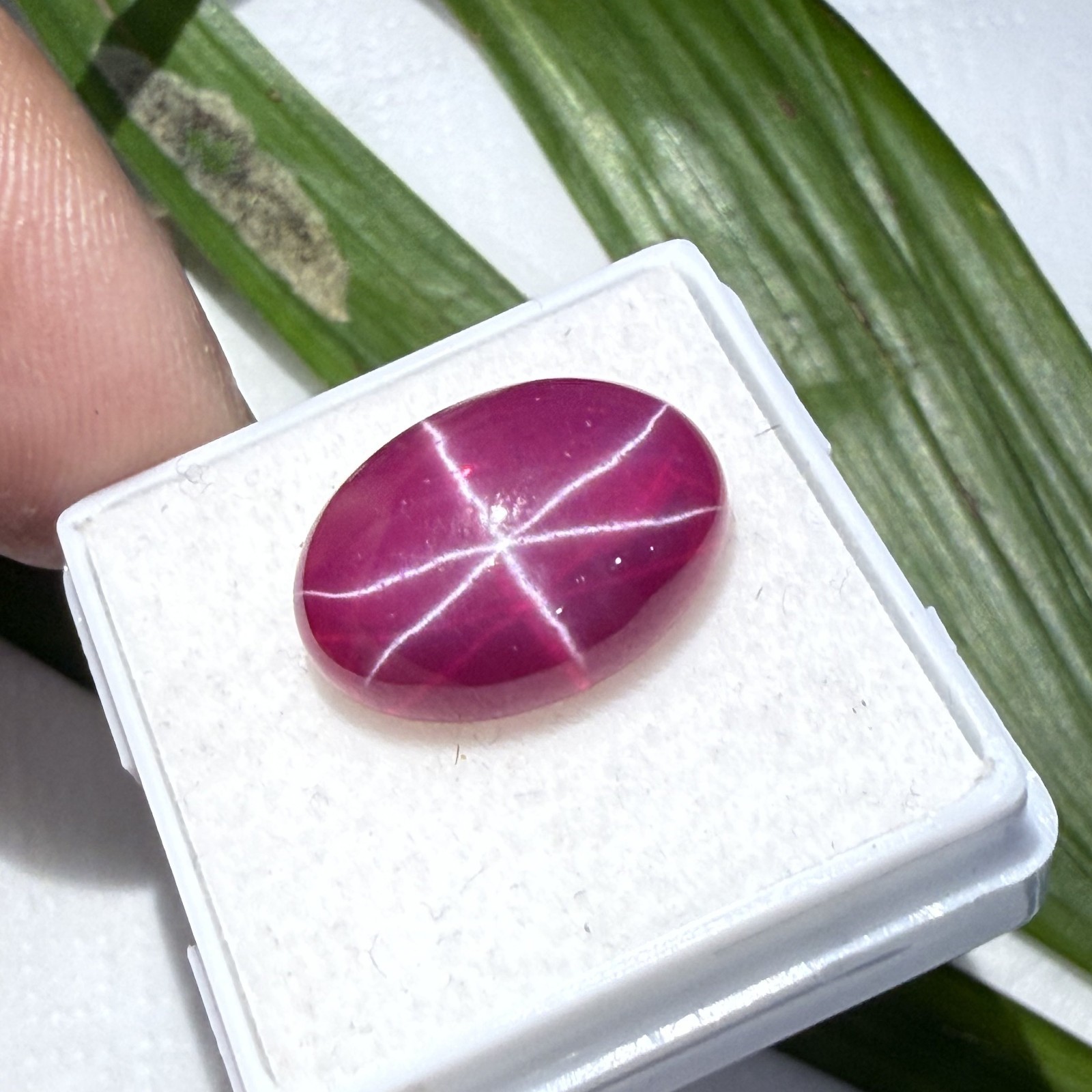 Certified 14.95 Ct Natural Vietnam Star Ruby 16.1×12.3 mm Oval 6-Ray Gemstone