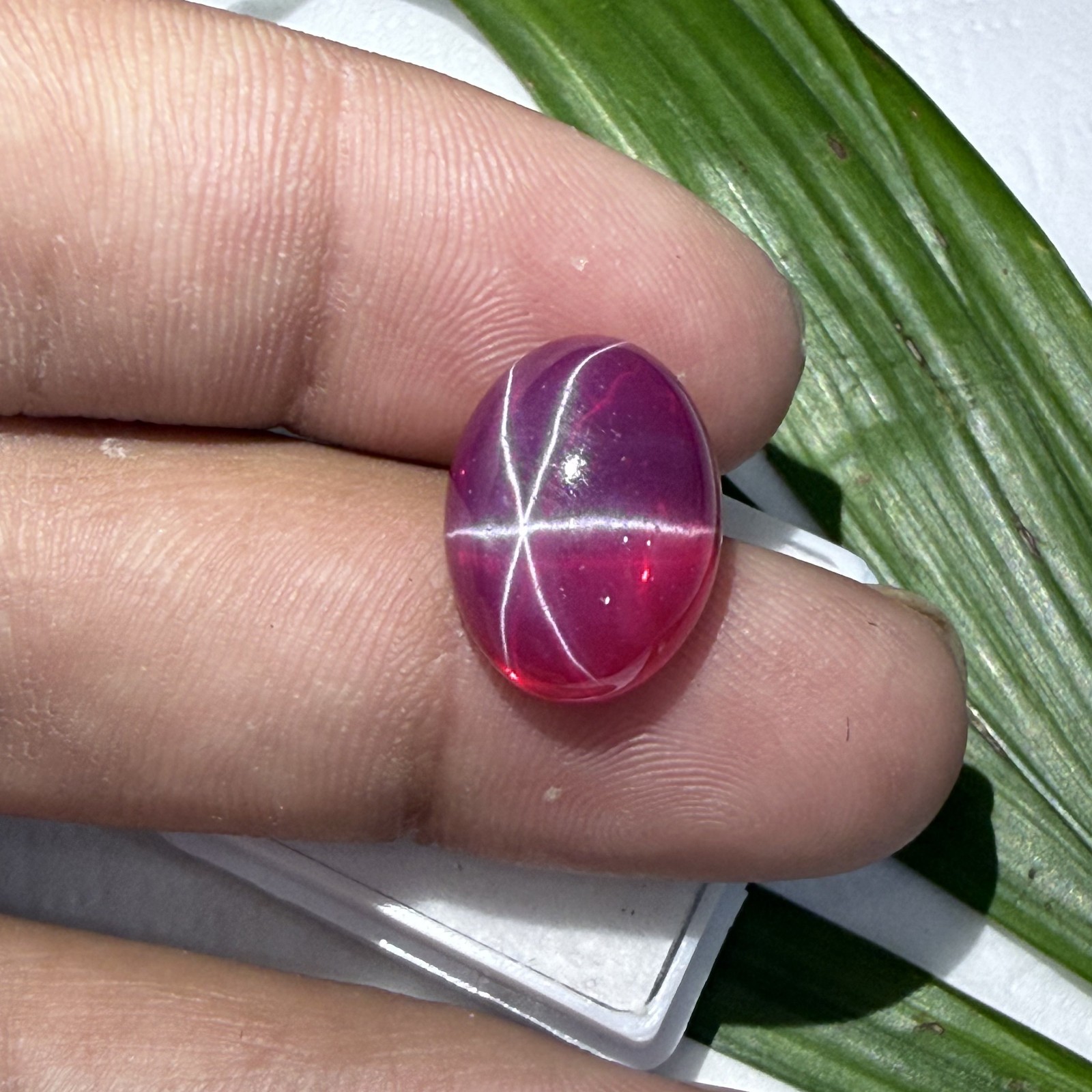 Certified 14.95 Ct Natural Vietnam Star Ruby 16.1×12.3 mm Oval 6-Ray Gemstone
