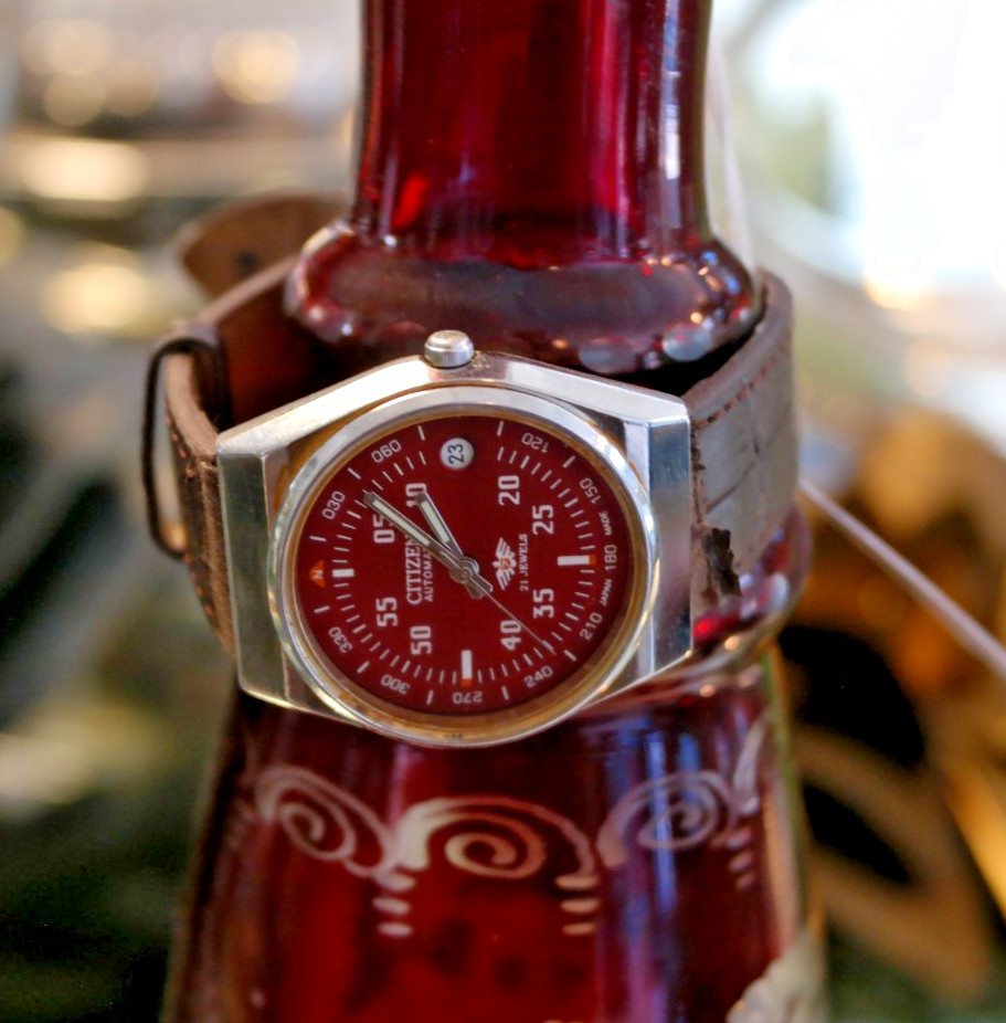 Colorful Citizens New Master Mens Wristwatch – – Automatic 21J, Compass Indices