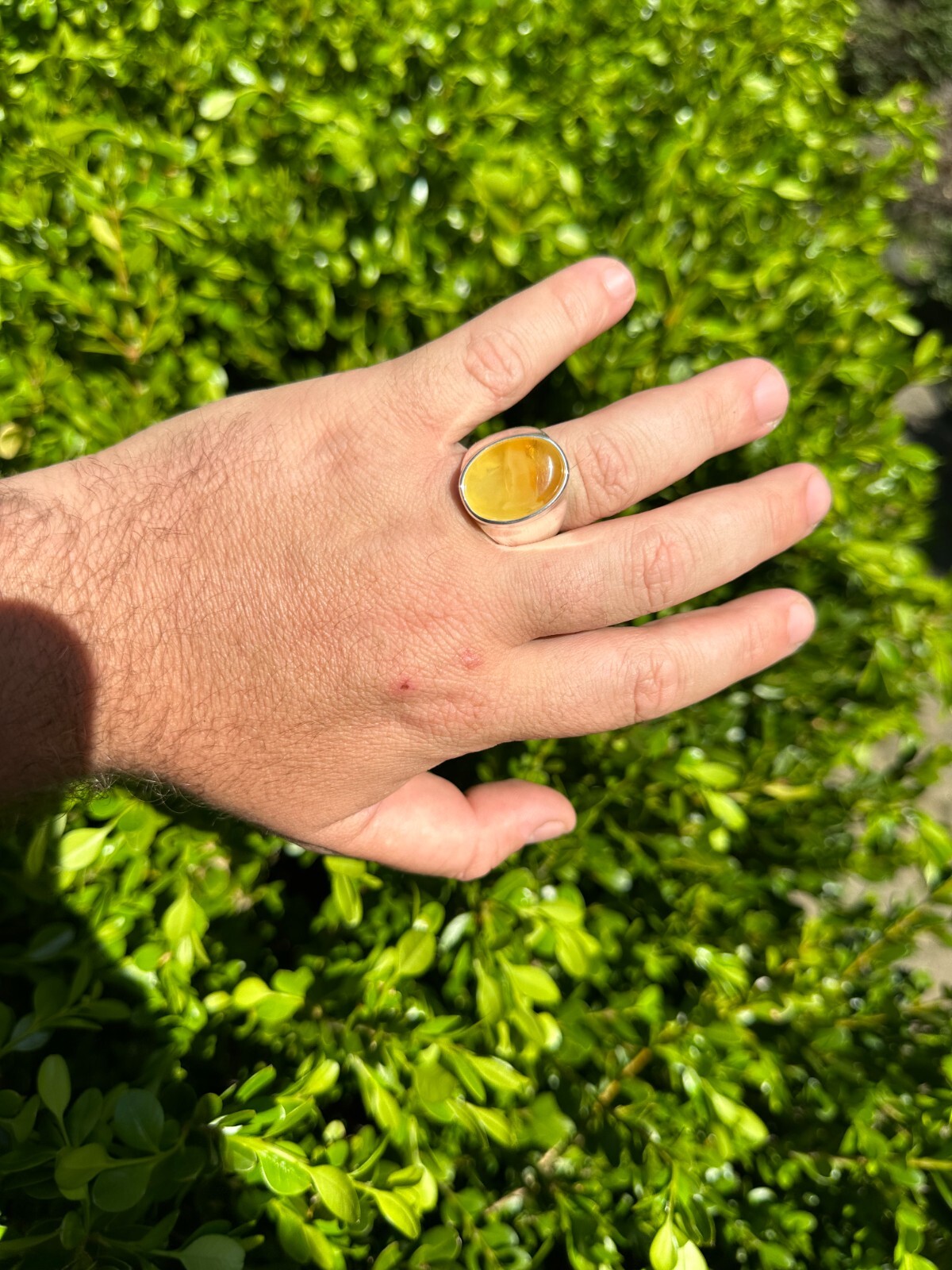 Large Genuine Baltic Amber Stone Mens Real Solid 925 Sterling Silver Signet Ring