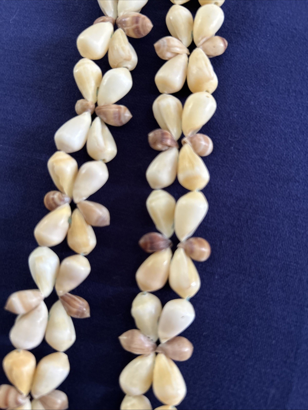 Vintage Cowrie Sea Shell NECKLACE Long Heavy 18” Hawaiian Lei