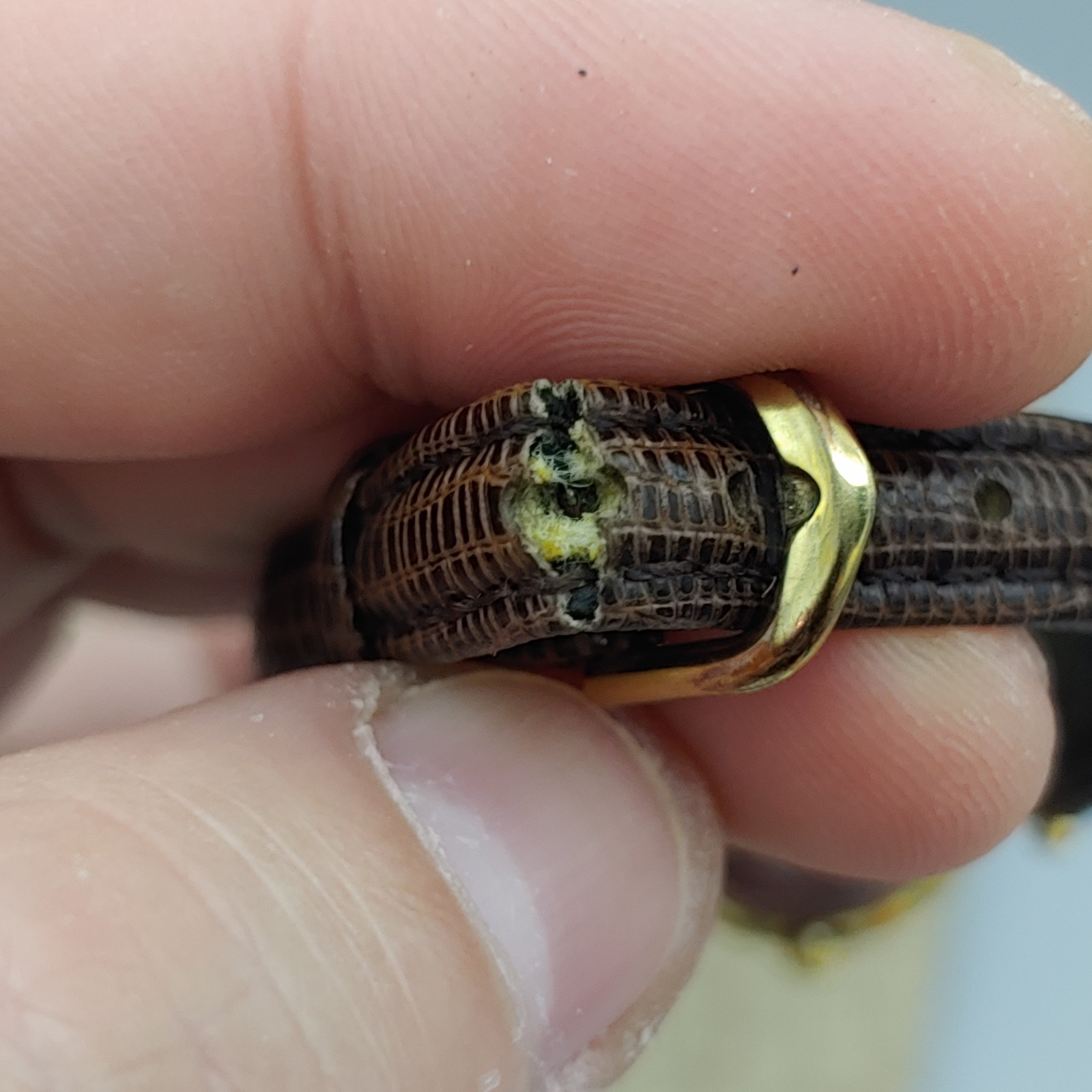 Pierre Cardin Women’s Watch 24mm Gold Tone Lizard Band 6.25″ Japan 3ATM Works