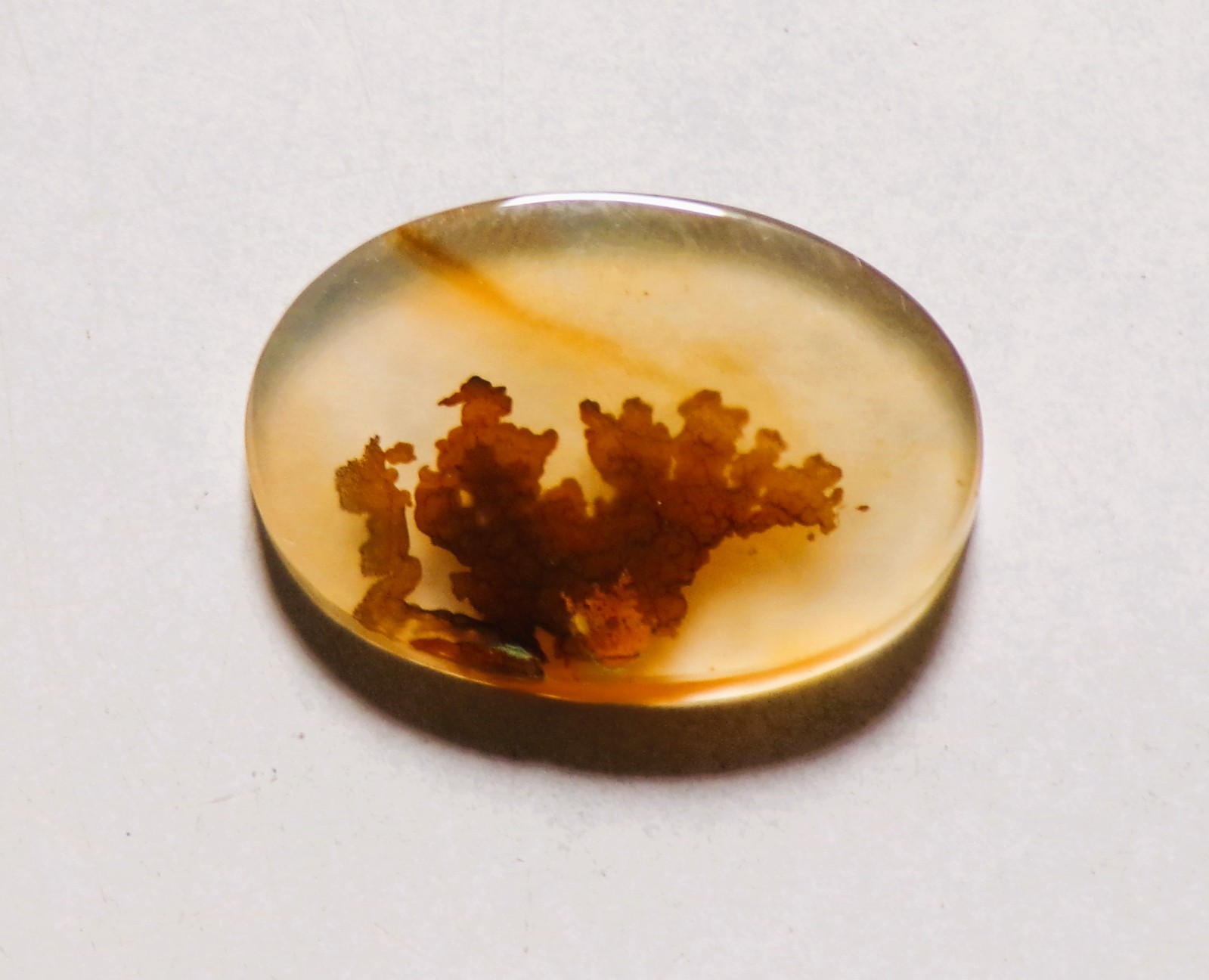10.95 Cts Natural Shazar Dendritic Agate Cabochon Loose Gemstone 22X15X3.4MM 178