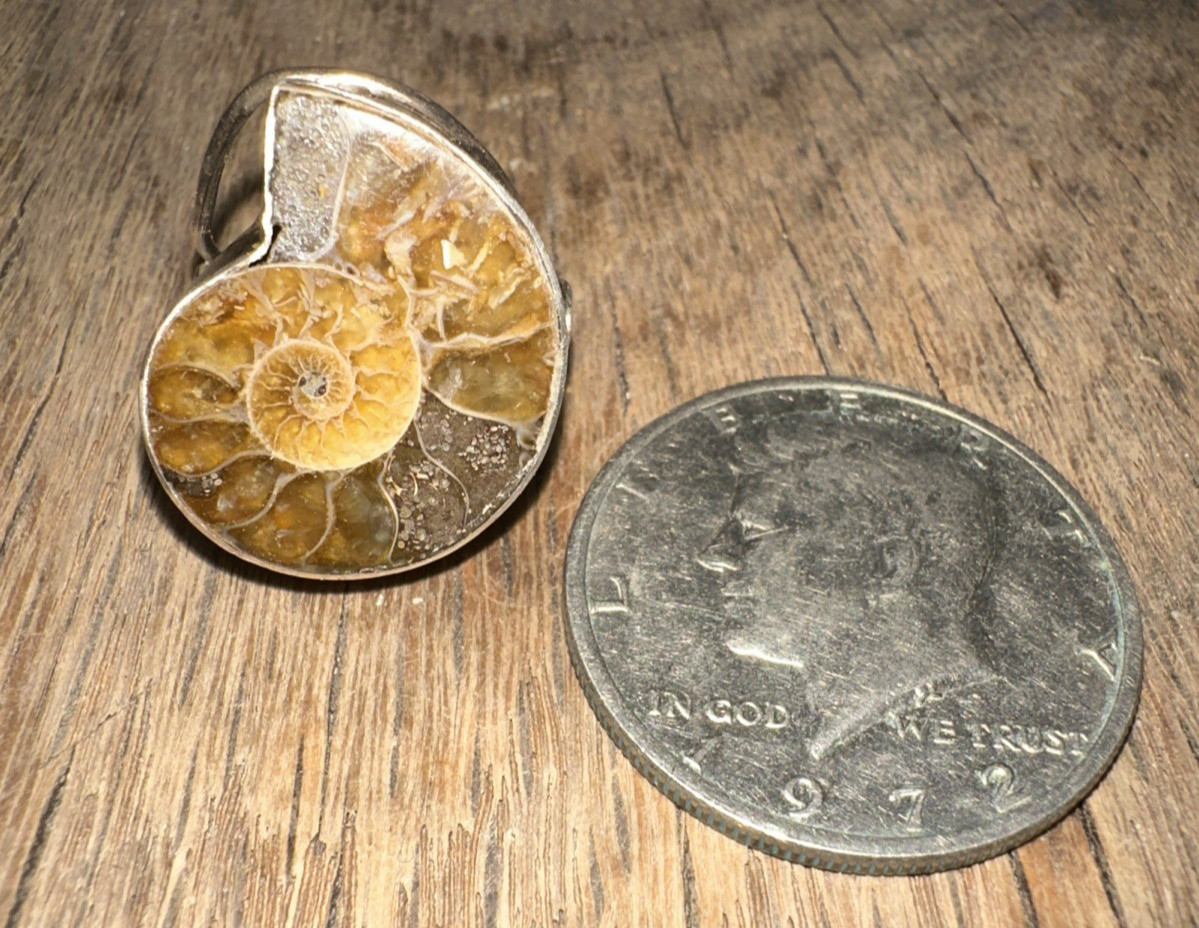 Sterling Silver Ammonite Natural Fossil Ring Size 6
