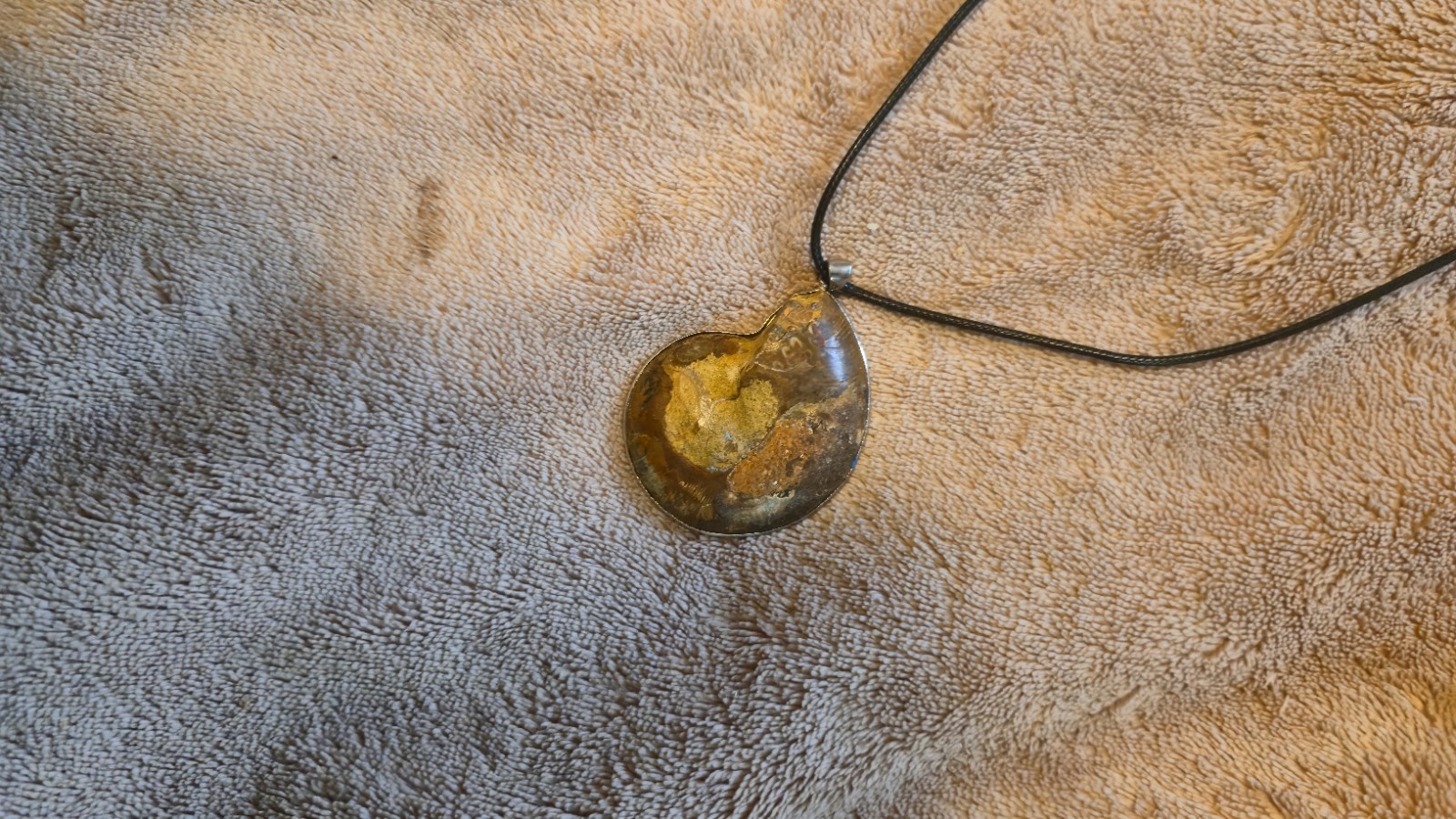 Genuine Ammonite Fossil Pendant Sterling Silver Sliced Polished Crystal Agate