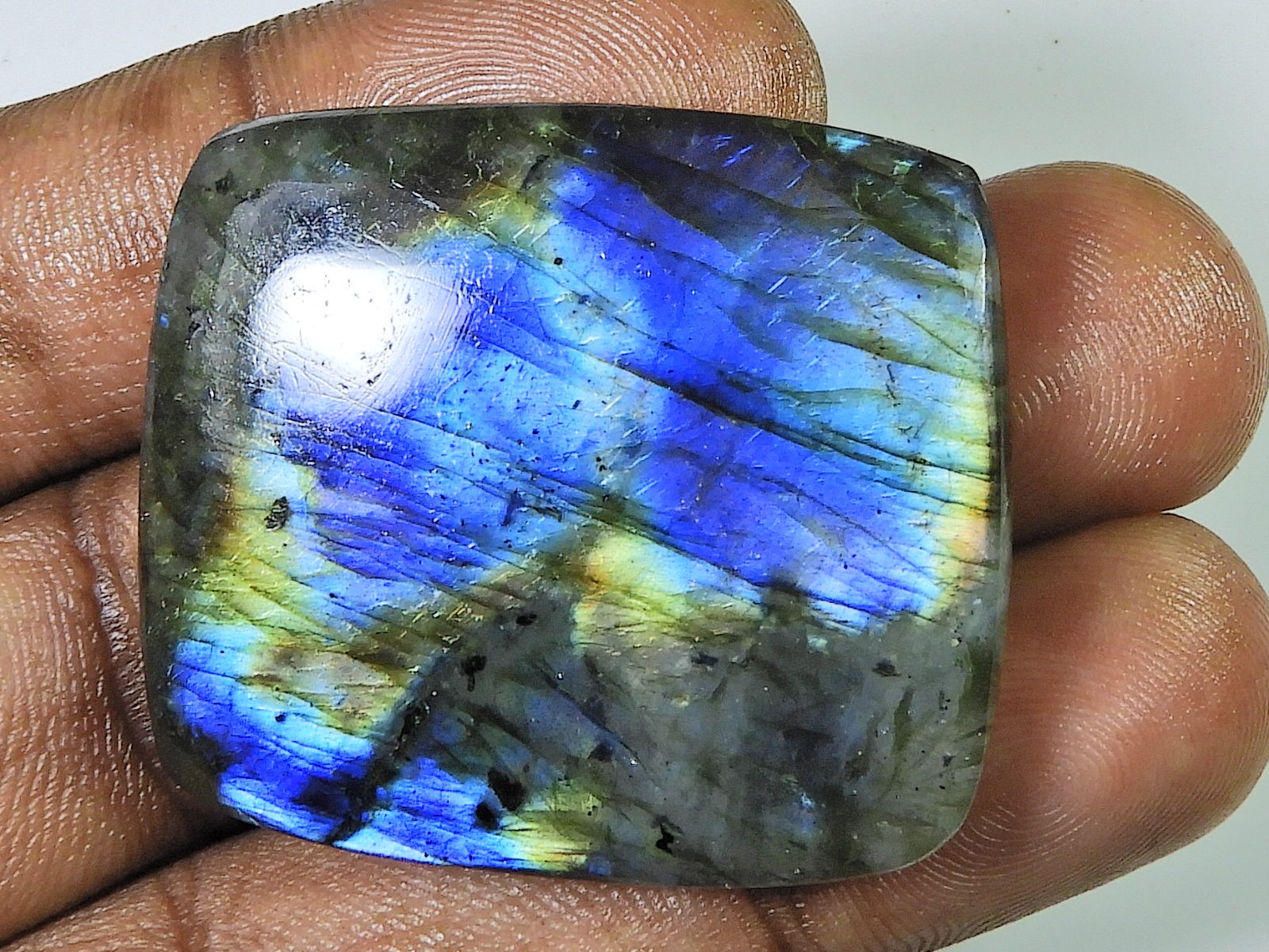 101Cts.Natural Labradorite Multi Rectangular Cabochon Loose Gemstone 34X39MM G06