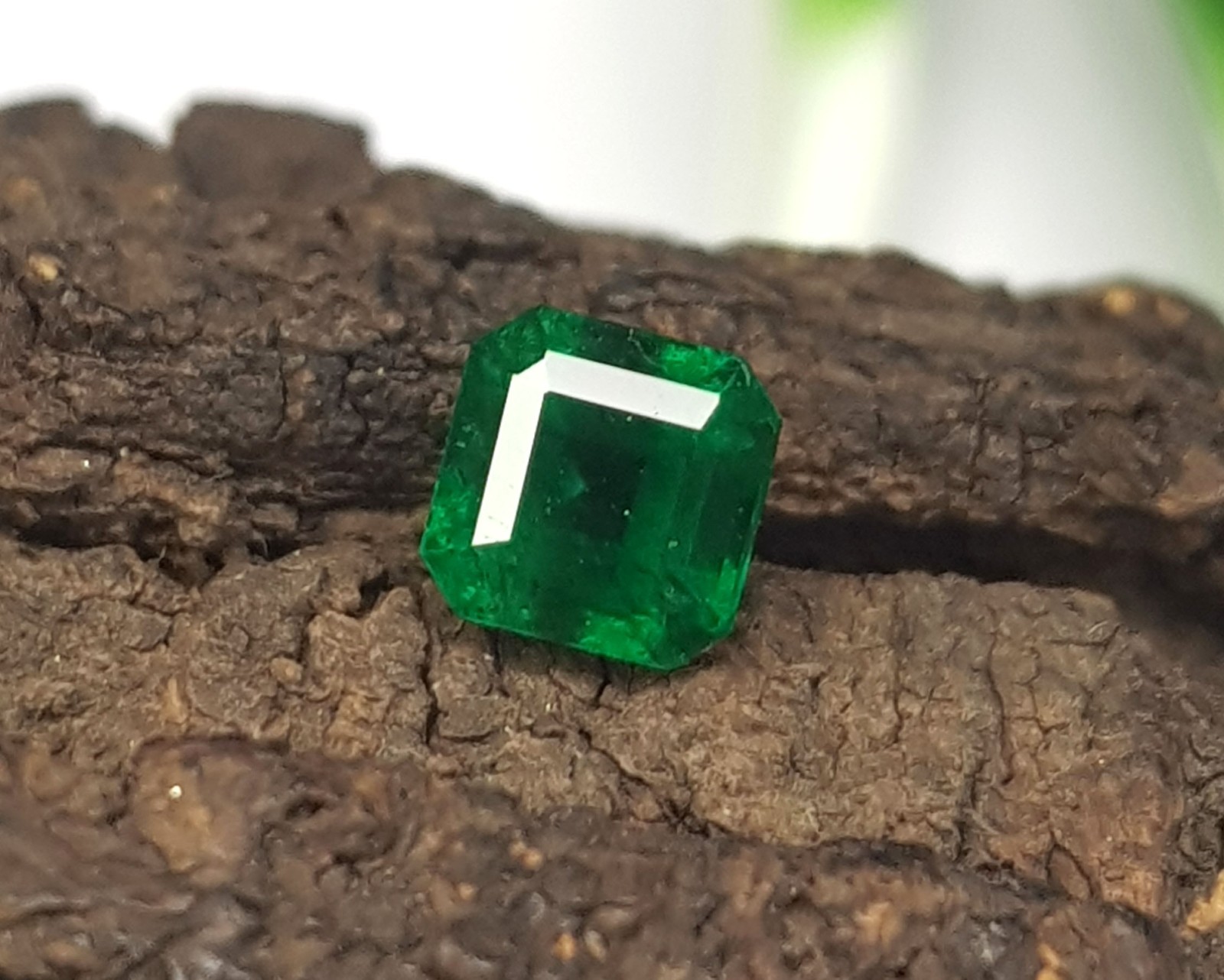 Octagon Zambian Emerald: 0.87 ct Vivid Green Untreated Gemstone