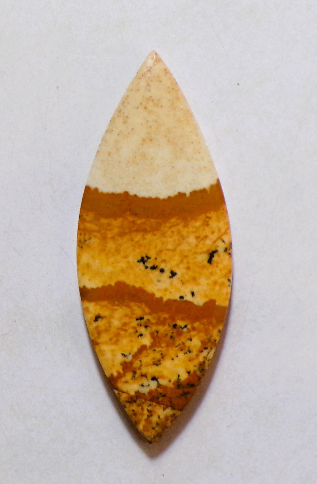 35.55 Cts Natural Picture Jasper Cabochon Loose Gemstone 53X21X4MM