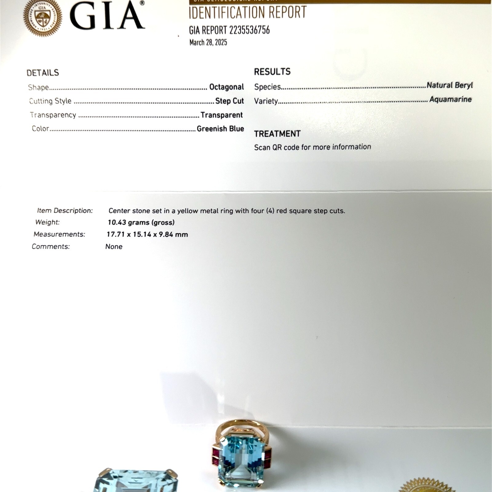 GIA Certified 18.60Cts Fine Quality Aquamarine & Ruby 14K Gold Ring 10.4g G039