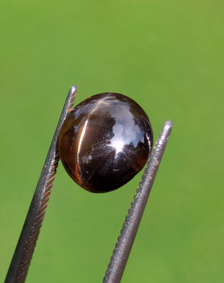 Natural Chrysoberyl Cat’s Eye 3.19ct | CSL Certified | Brown | No Treatment
