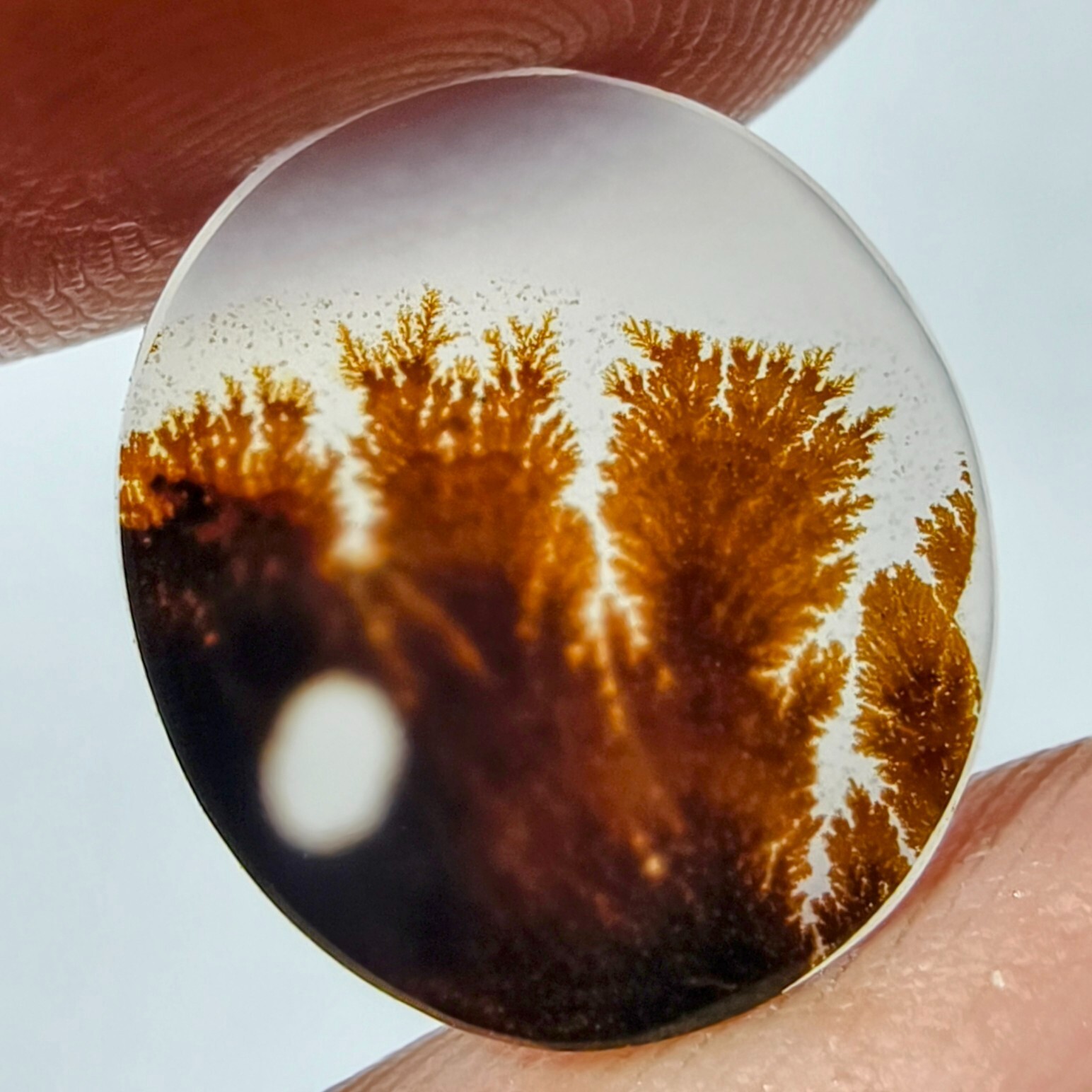 2.50 Cts Natural Shazar Dendritic Agate Cabochon Gemstone 14.4×12.7×1.5 MM 411