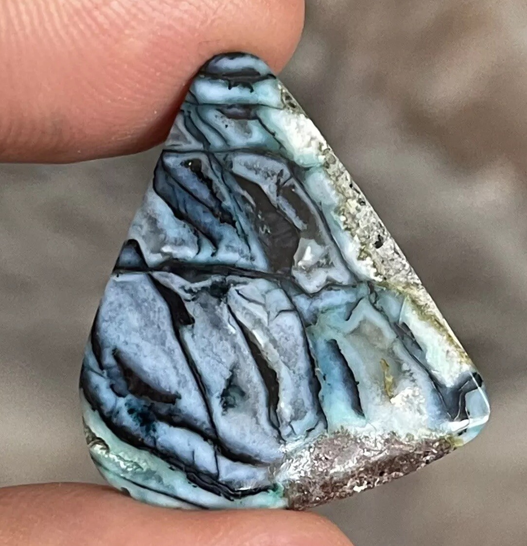 26.5×21.6x5mm Rare Agatized Wood Colorful Chrysocolla Cabochon Picture Stone