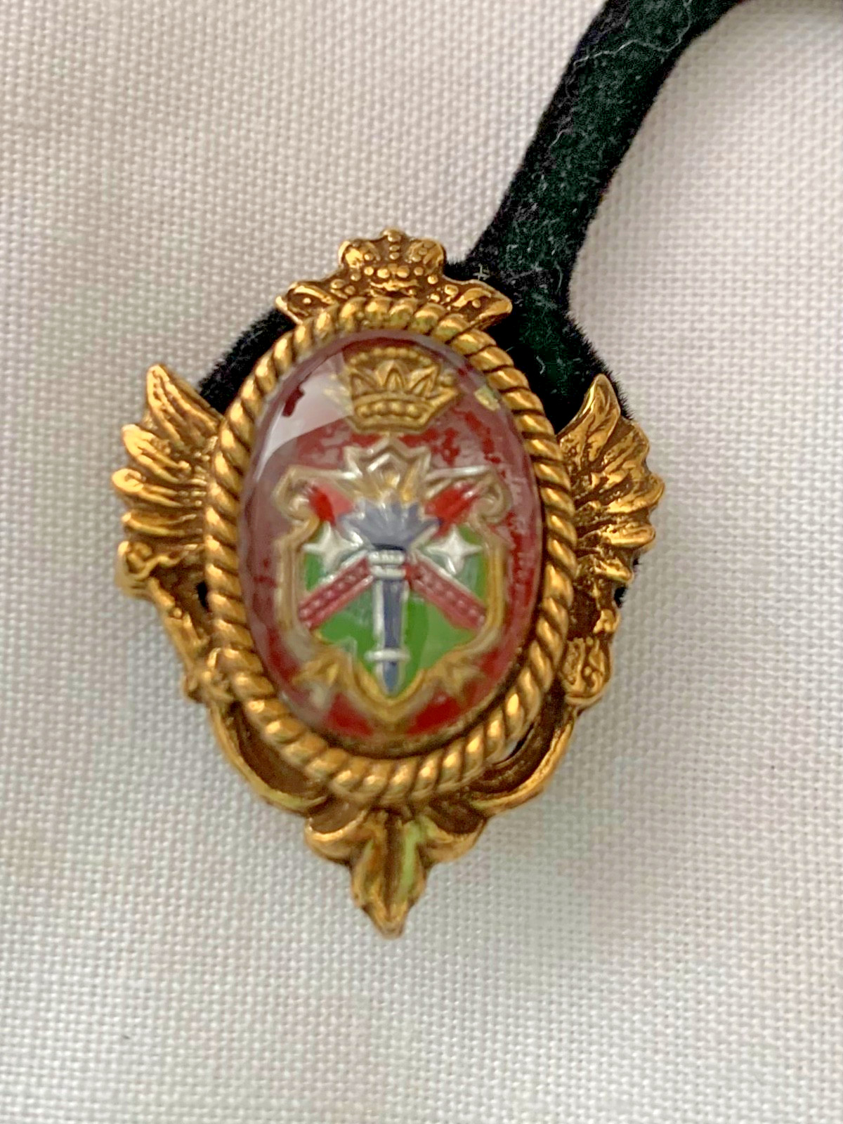 Coat of Arms Enamel Bracelet and Earrings – Heraldic Lion Passant – High Quality