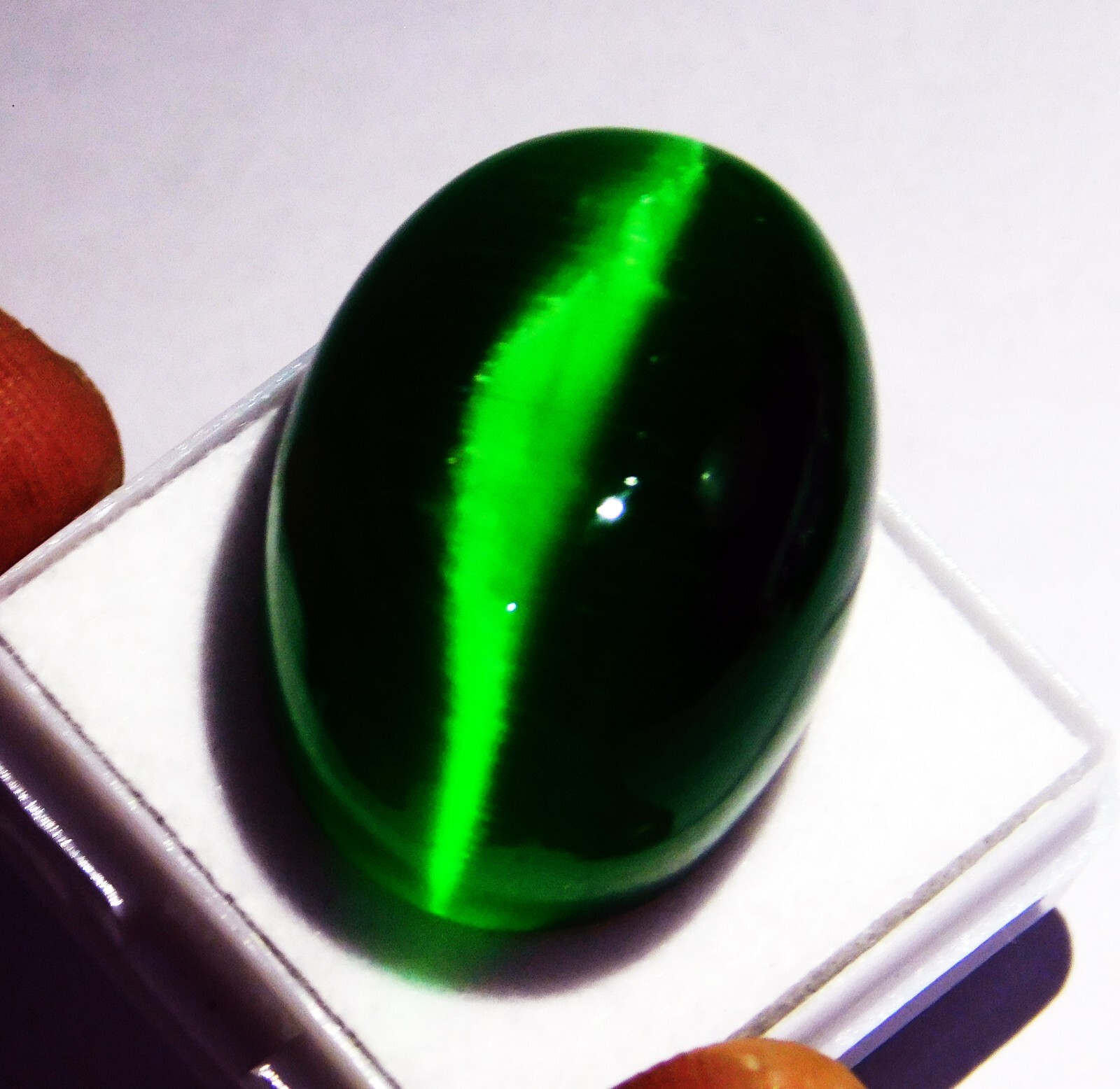 Natural 67.40 Ct Certified Chrysoberyl Green Cat’s Eye Oval Cabochon Loose Gems