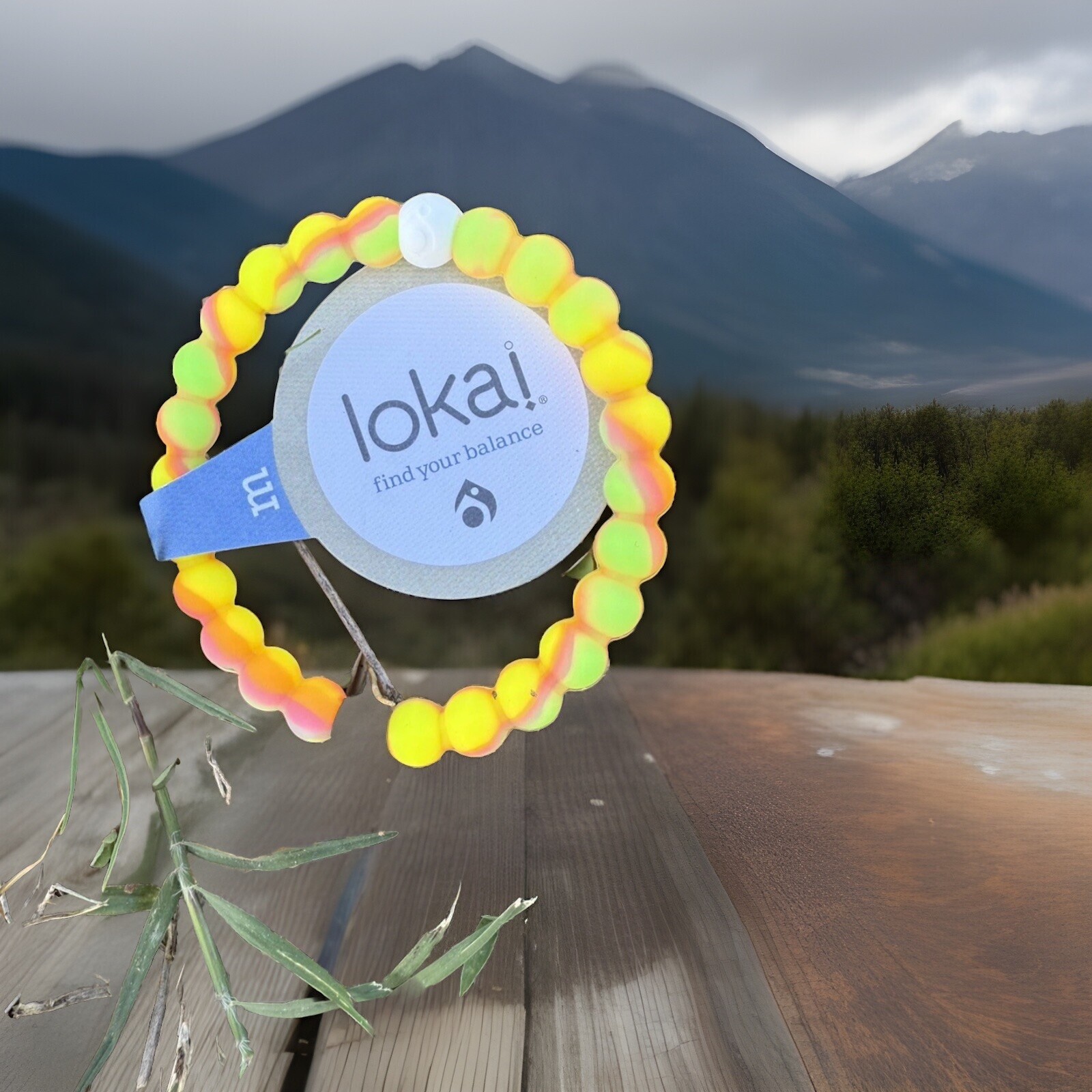 Lokai Bracelet Rainbow M 6.5”