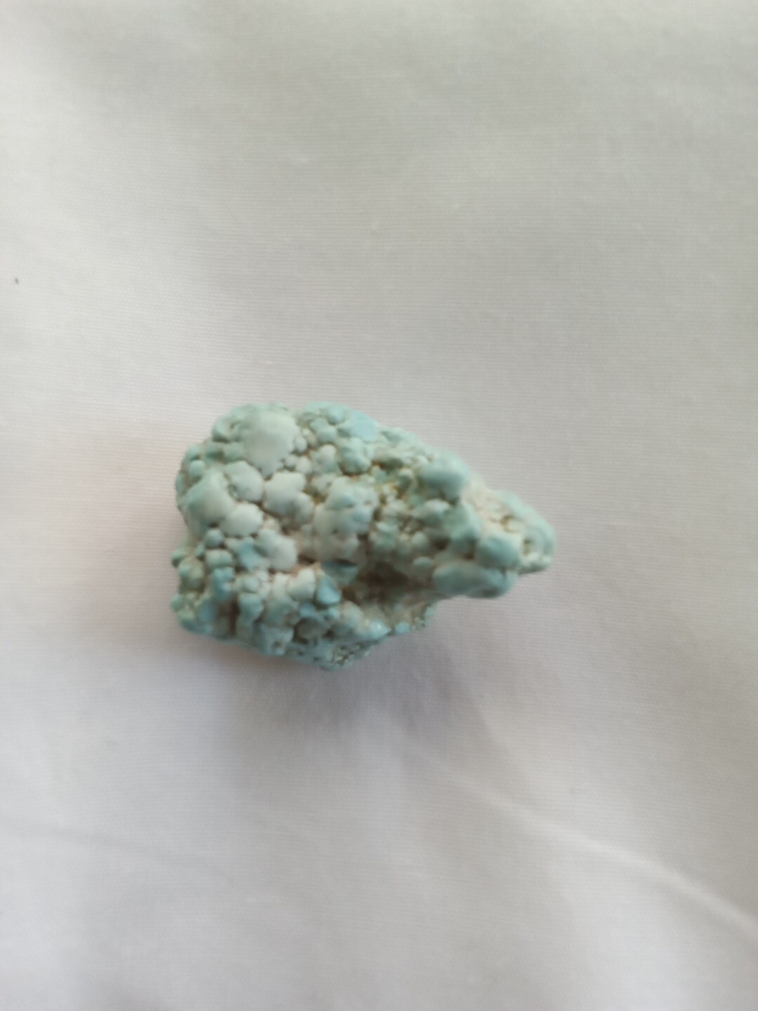 Fox Foam Turquoise