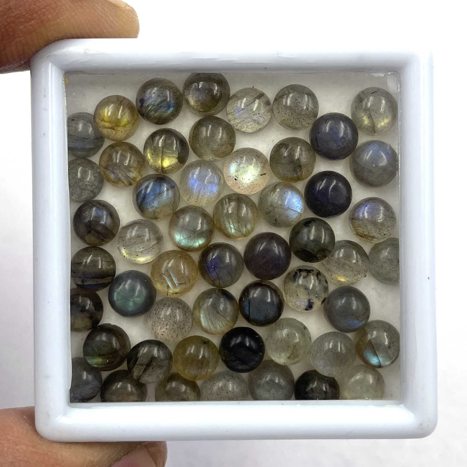 Natural Labradorite Round Cabochon Loose Gemstone Lot 105 Pcs 6 MM 100 CT