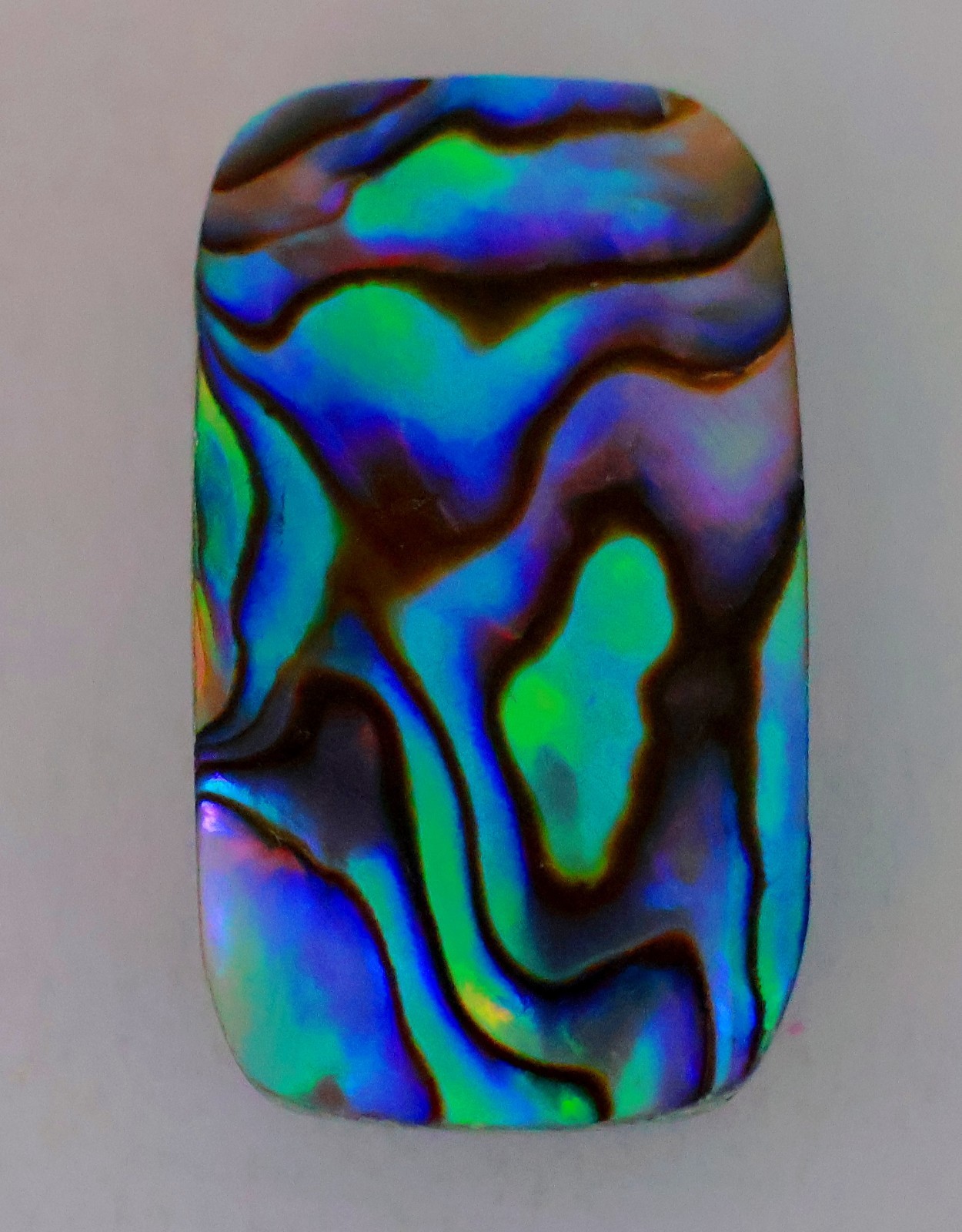 26 Ct 6X15X26 mm Natural Multi Fire Abalone Shell Fancy Cabochon Gemstone KQ-624