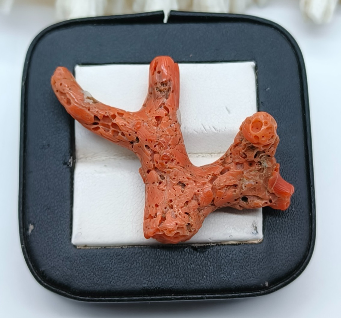 Salmon Pink Coral Branch – Natural Italian Gemstone (35x48mm, 27ctw Approx.)