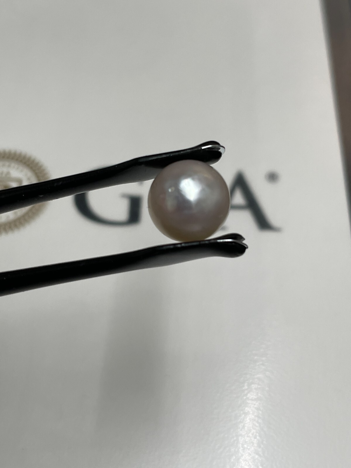 6.53 ct GIA Certified 9.80 mm Cultured Saltwater Pearl Pinctada Species. LP9