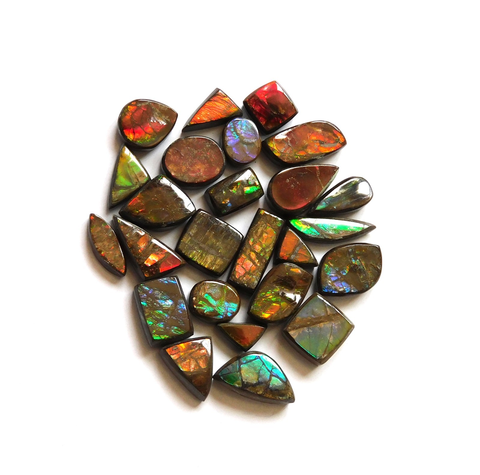 51.10 Cts Natural Ammolite 25 Pcs Lot Loose Cabochon Gemstone ZC17