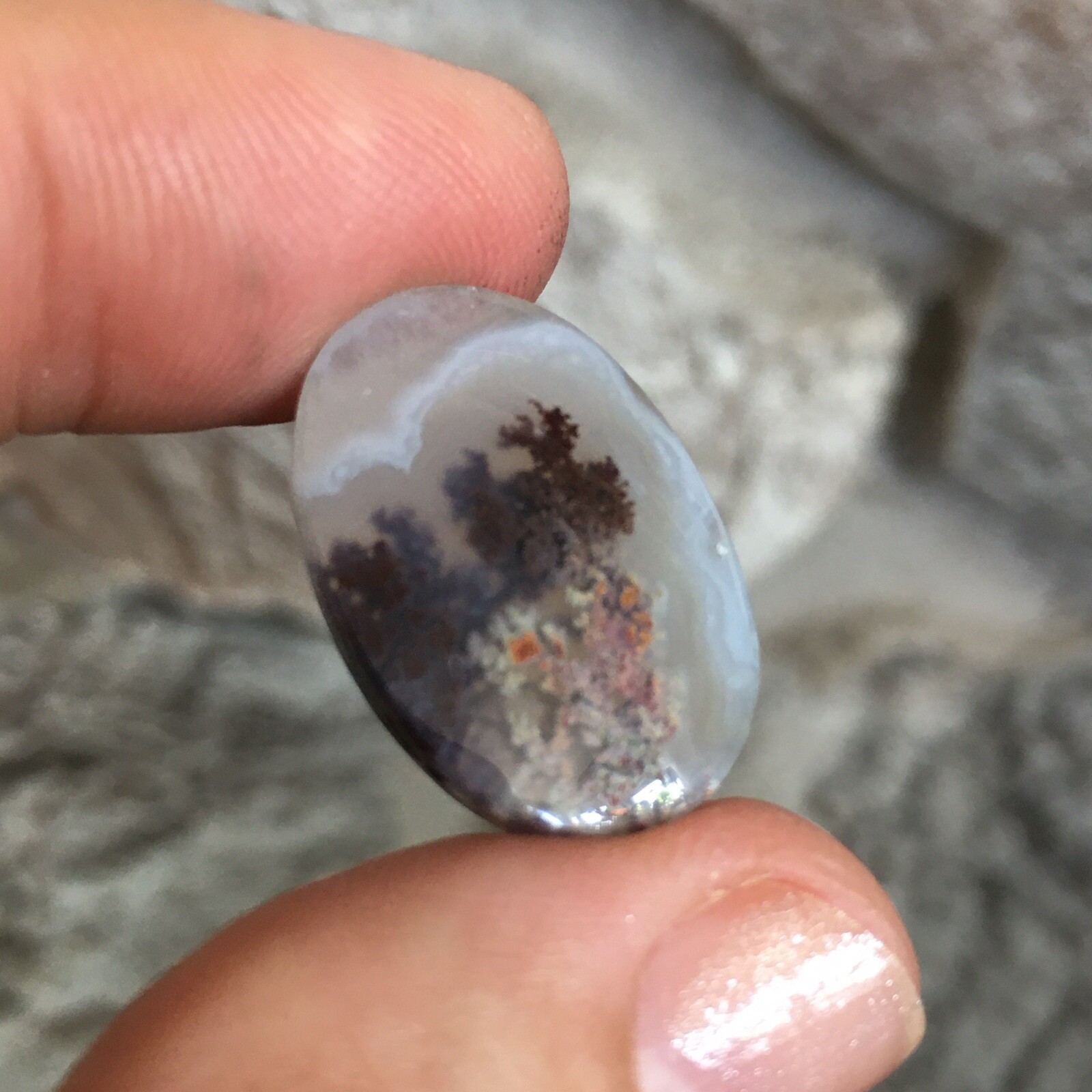 23.3×15.7x5mm Fine Silver Garden Moss Agate Oval Cabochon Loose Picture Stone