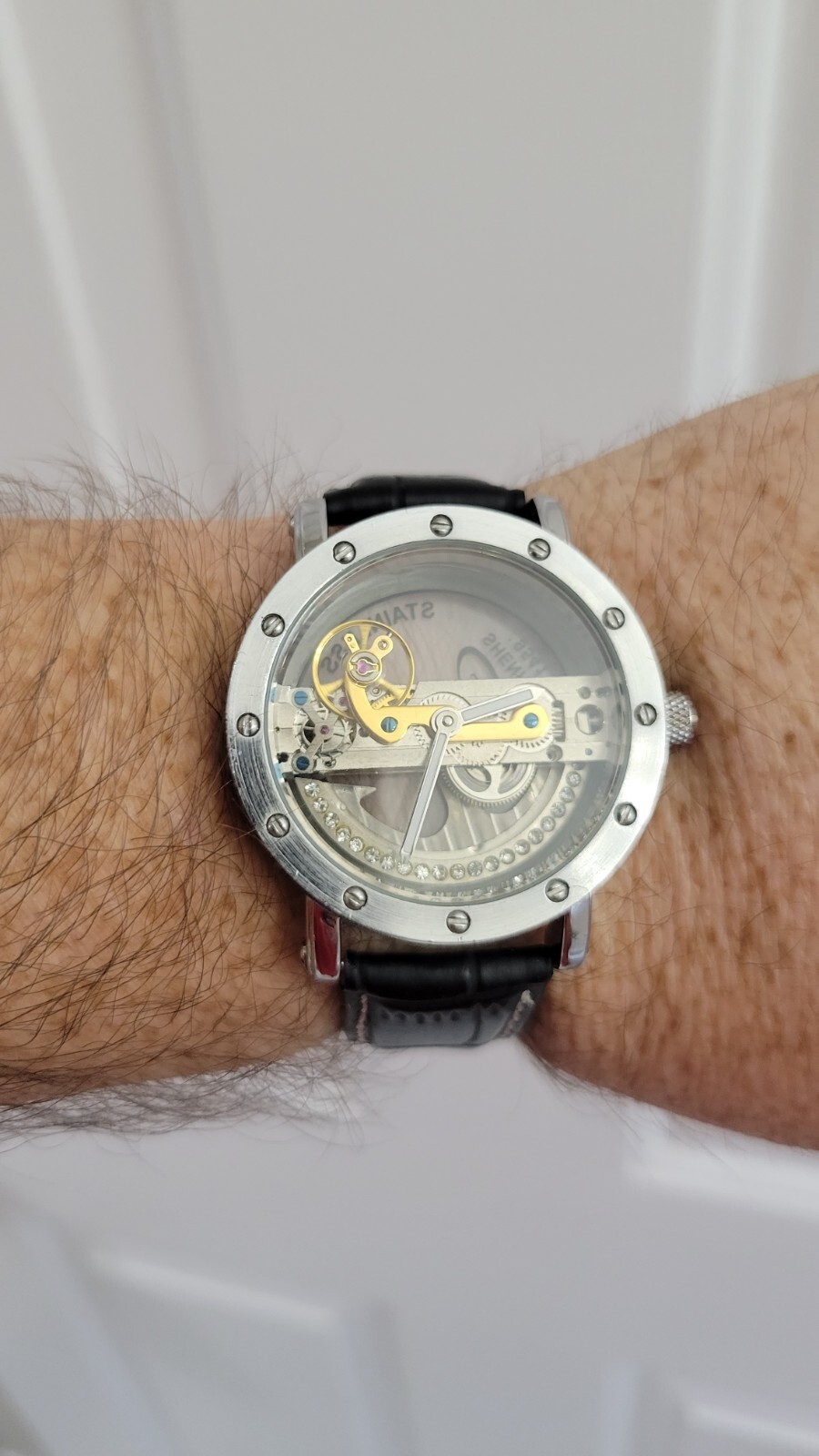 Mens Watch Mechanical Waterproof Luxury Watch Croco Leather Band Hollow Skeleto