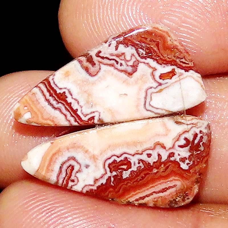 100% Natural rosetta jasper Pair Cabochon 24.75CT 12X26X4mm Fancy Shape Gemstone
