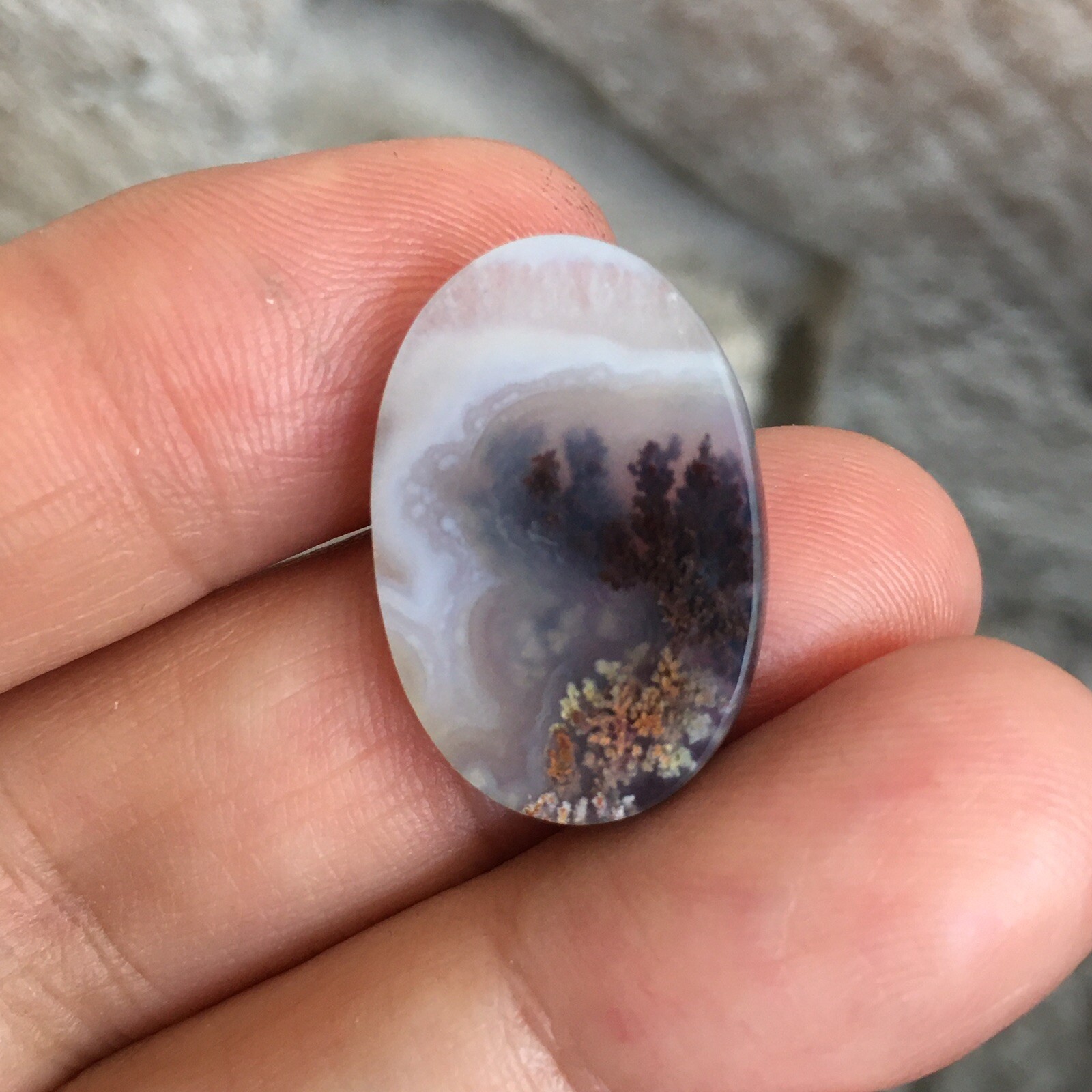 23.3×15.7x5mm Fine Silver Garden Moss Agate Oval Cabochon Loose Picture Stone