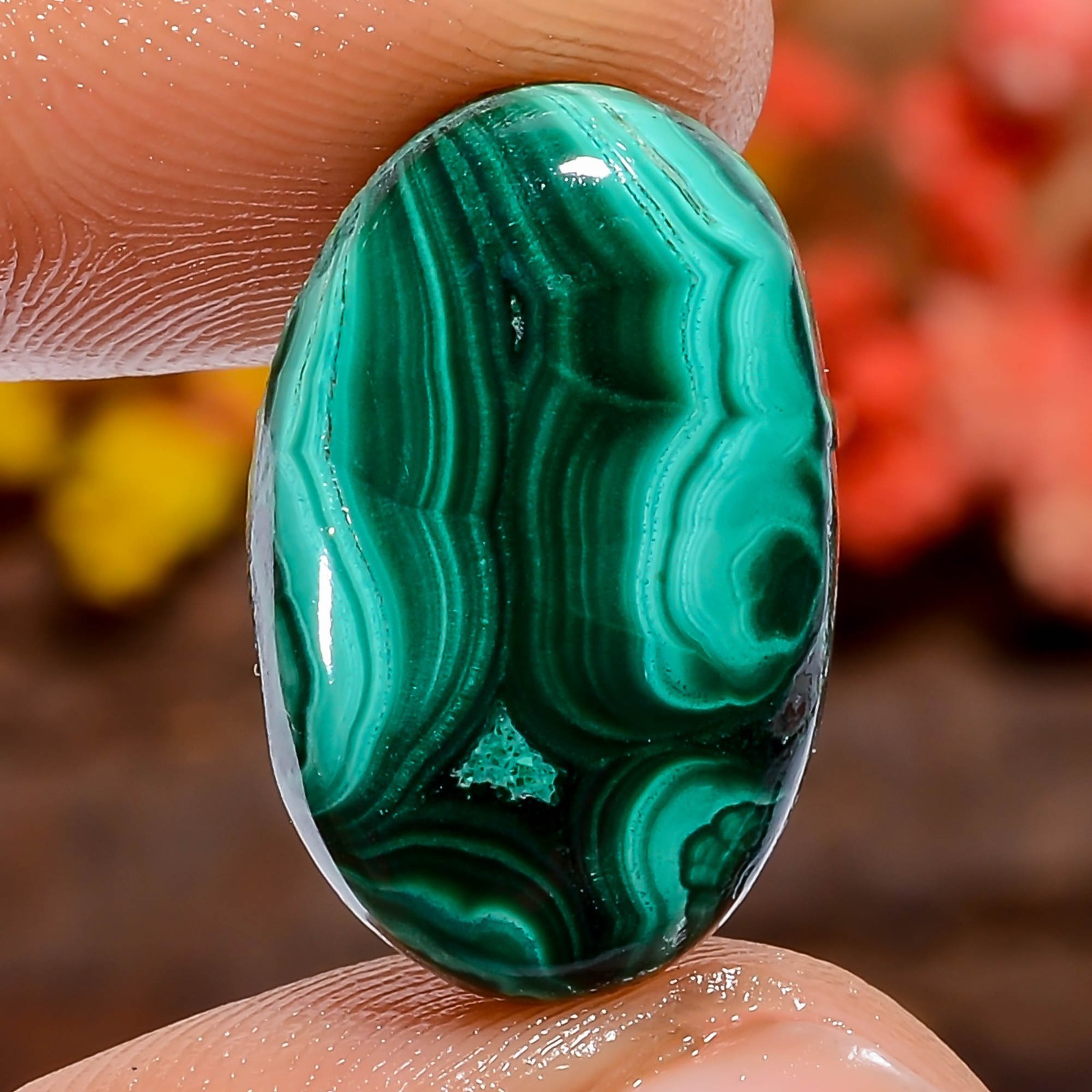 Natural Malachite Oval 17Ct 19X12X4mm Loose Gemstone Polished Stone Green Africa