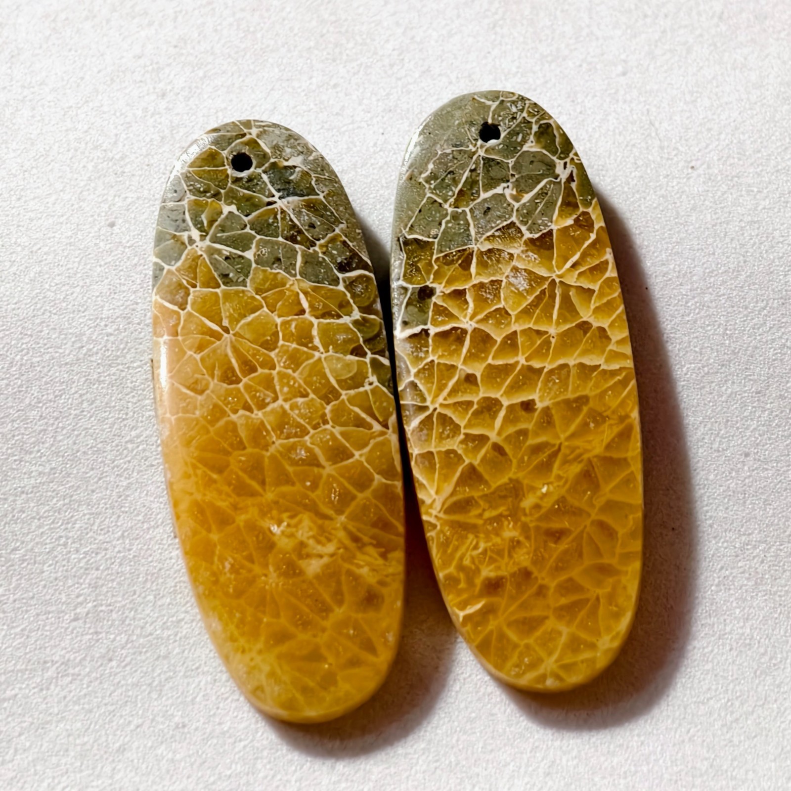48 Cts Natural Fossilized Coral Drilled Pair Cabochon Gemstone 39.6 X 15.1 MM