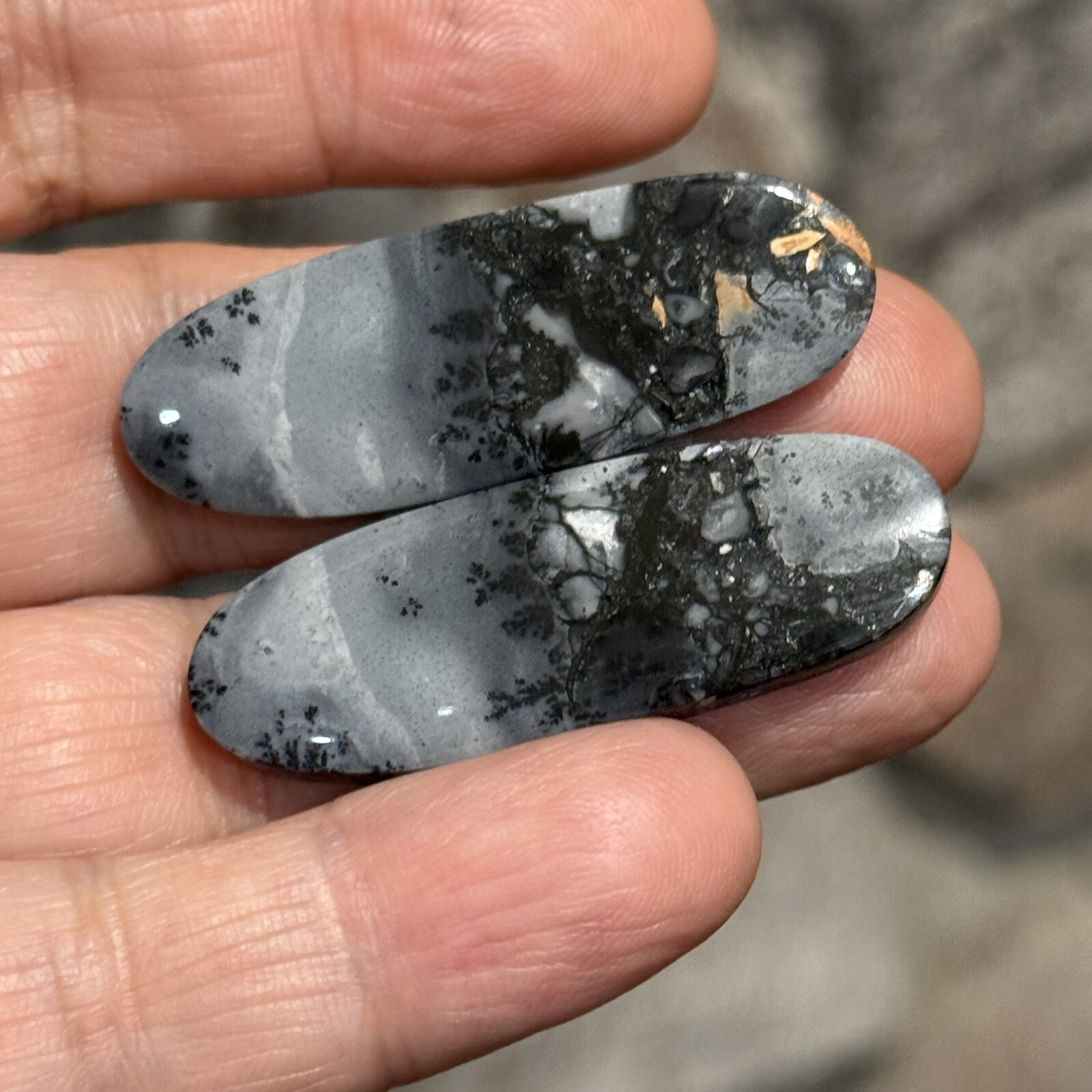 59ct 41×14.5×4.8mm Pair Fine Gray Scenic Oval Picture Maligano Jasper Cabochons
