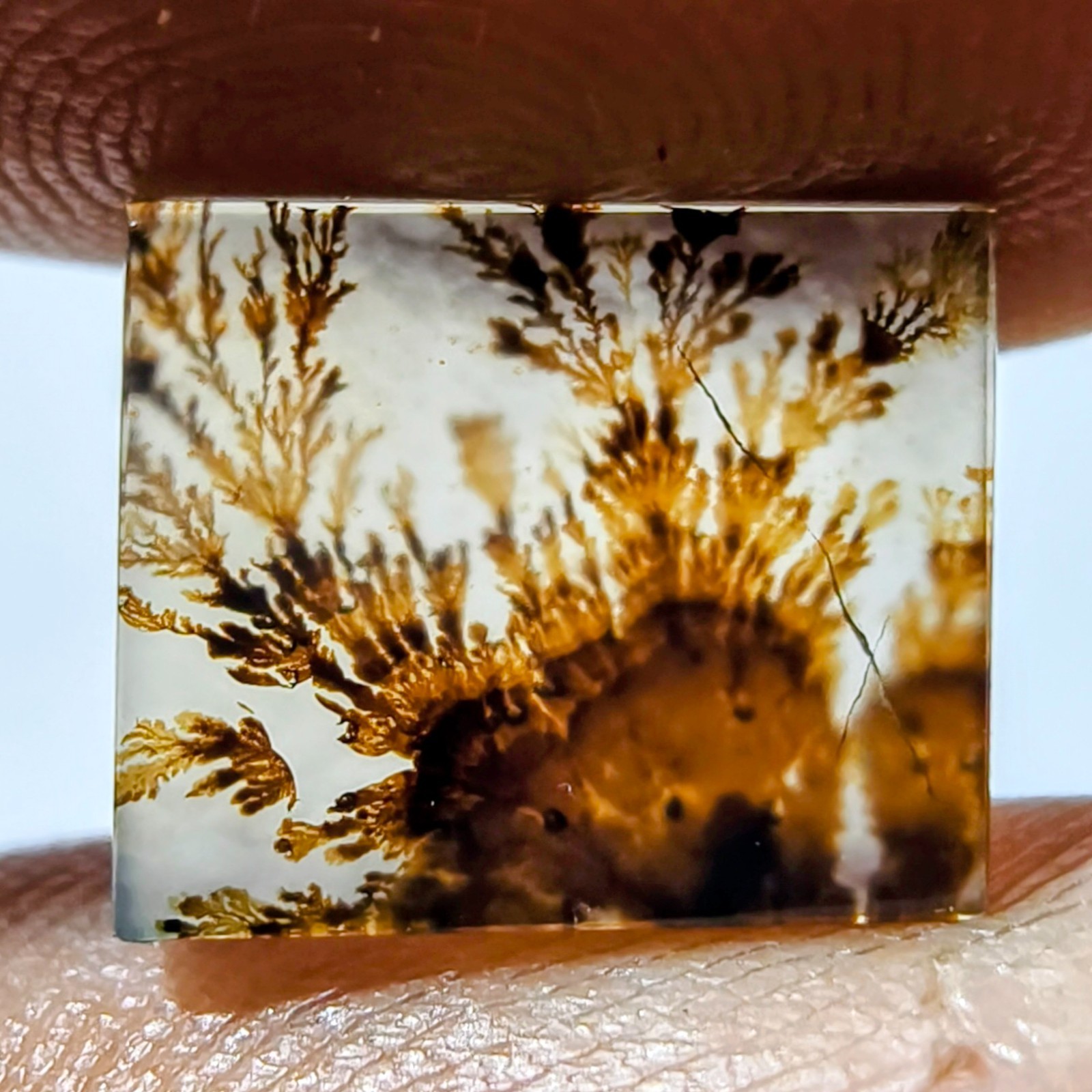2.40 Cts Natural Shazar Dendritic Agate Cabochon Gemstone 10.7×8.9×2.1 MM
