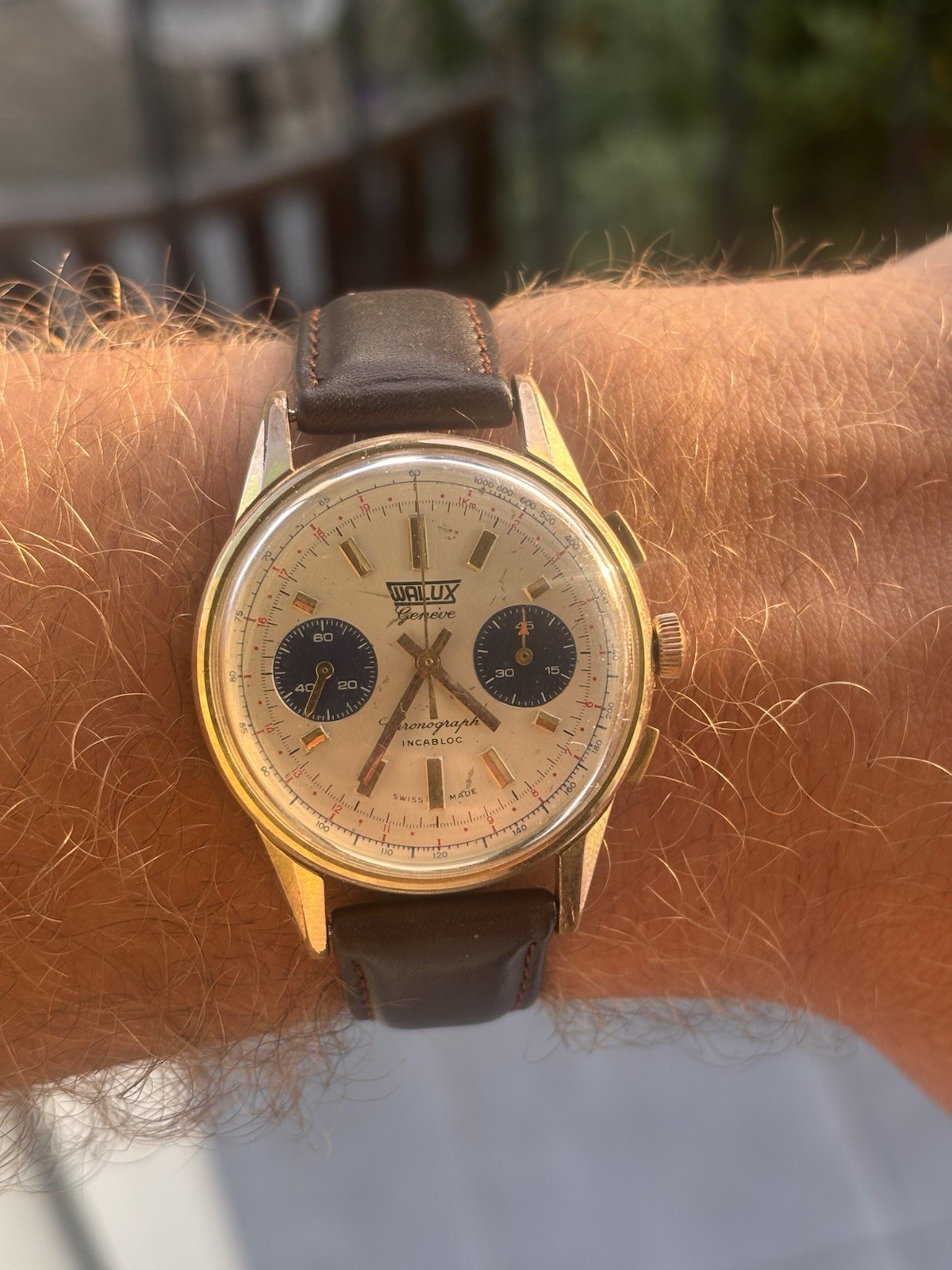 Fully Serviced! 1960s Vintage Valjoux 7733 Chronograph, Walux Geneve, Panda