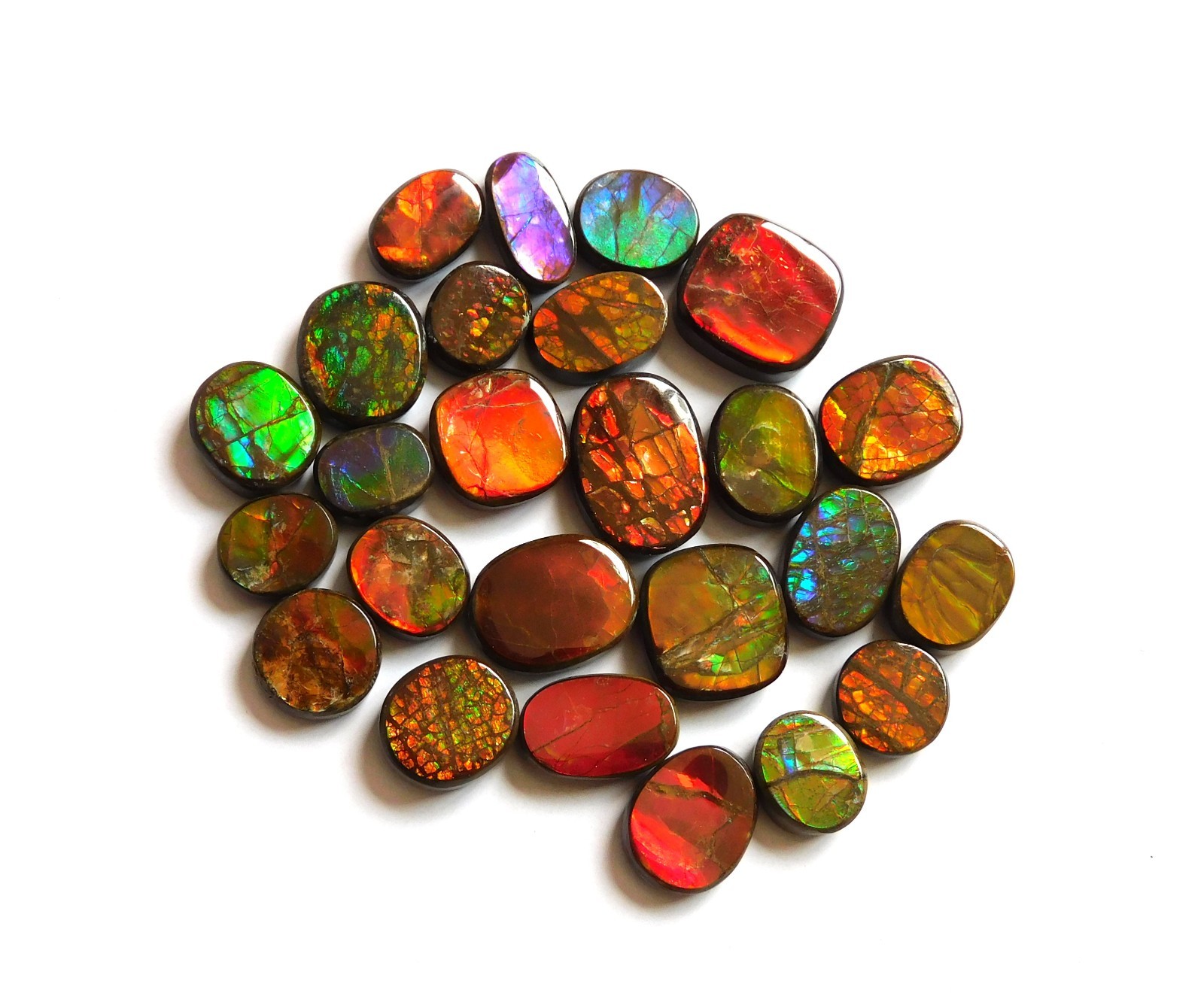 110.40 Cts Natural Ammolite 25 Pcs Lot Loose Cabochon Gemstone CN06