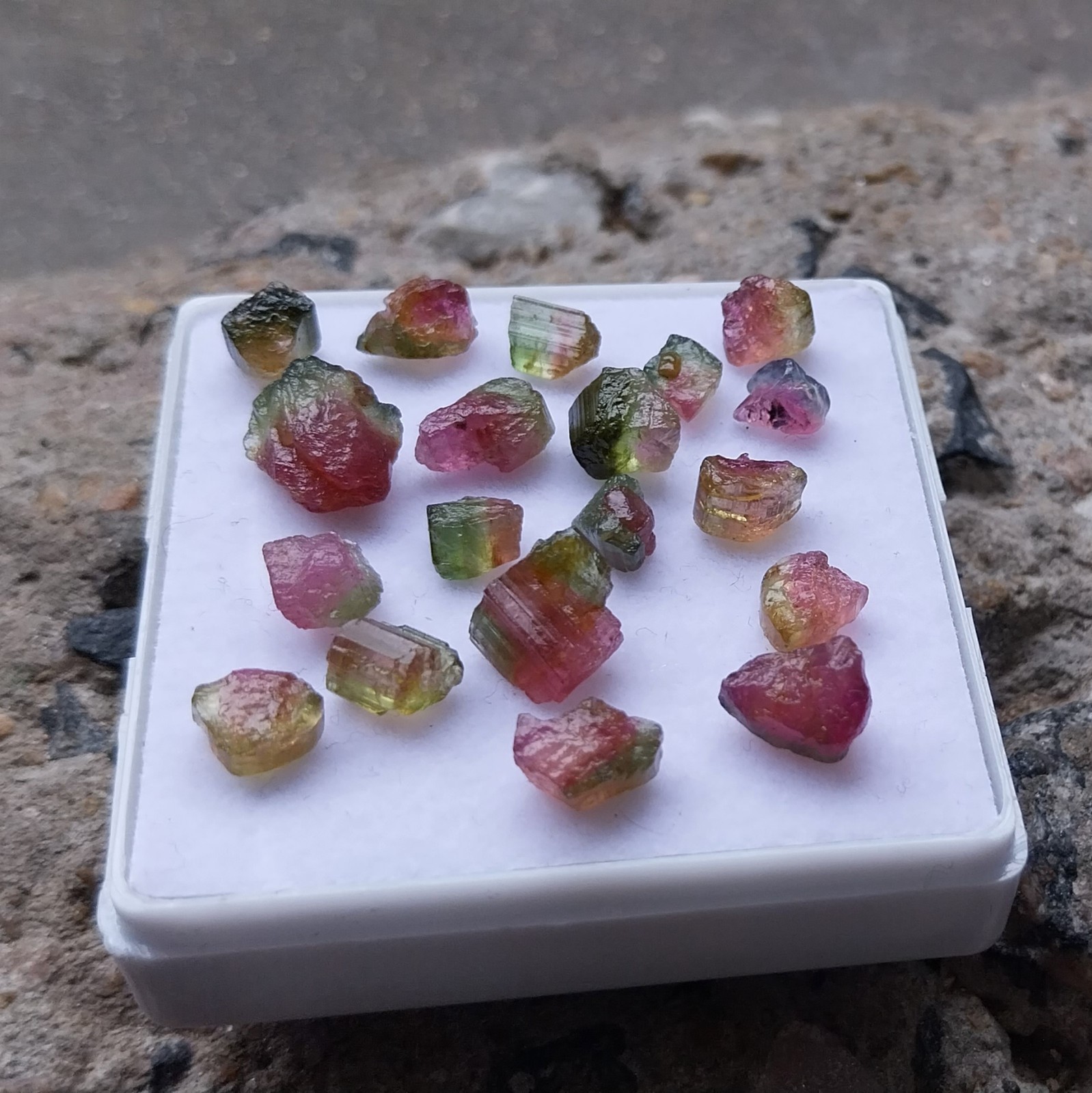 25.5 Ct 4 to 9 MM Natural Watermelon Bi-Color Tourmaline Raw Rough 19 Piece Lot