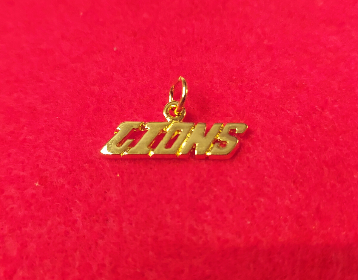 DETROIT SPORTS 14KT GOLD EP LIONS CHARM PENDANT WITH 16-30 INCH ROPE NECKLACE
