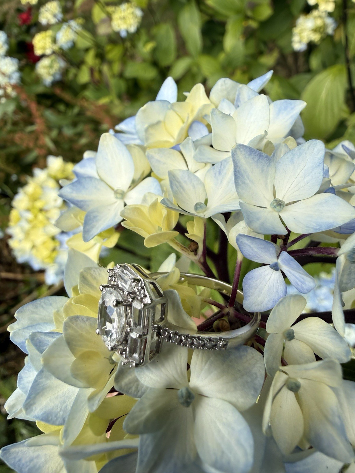 * 10K White Gold White Sapphire Ballerina Cluster Ring w/ Diamond Accents Size 8