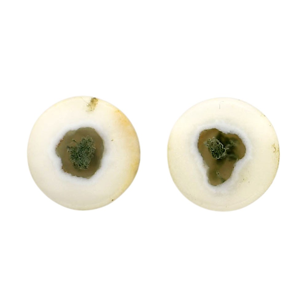 Natural Horse Canyon Moss Agate Pair 13.6×13.6×4.3 mm Round Gemstone LS36-04497