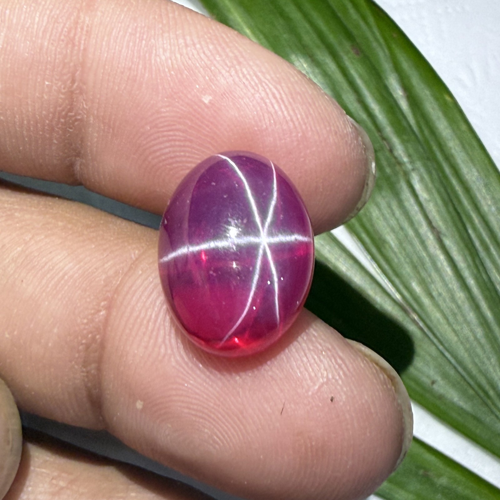 Certified 14.95 Ct Natural Vietnam Star Ruby 16.1×12.3 mm Oval 6-Ray Gemstone