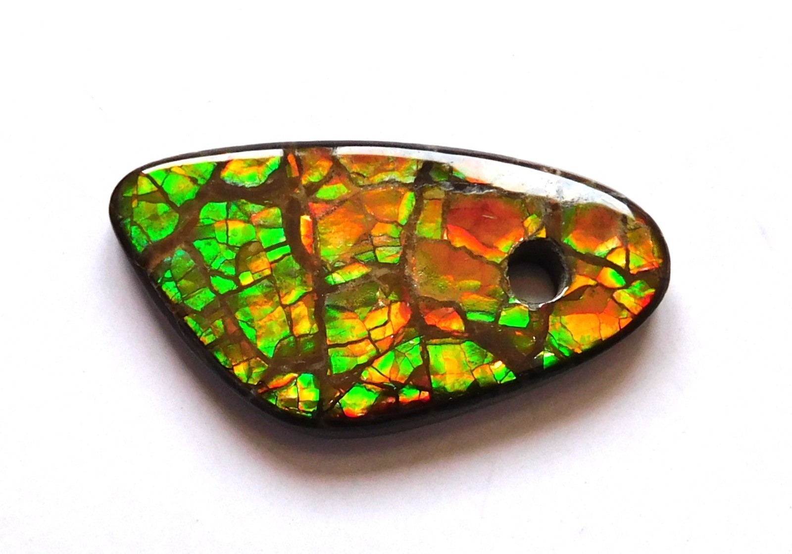 20.50 Cts Natural Canadian Ammolite Donut Gemstone 29.9X15.8X4MM LH16