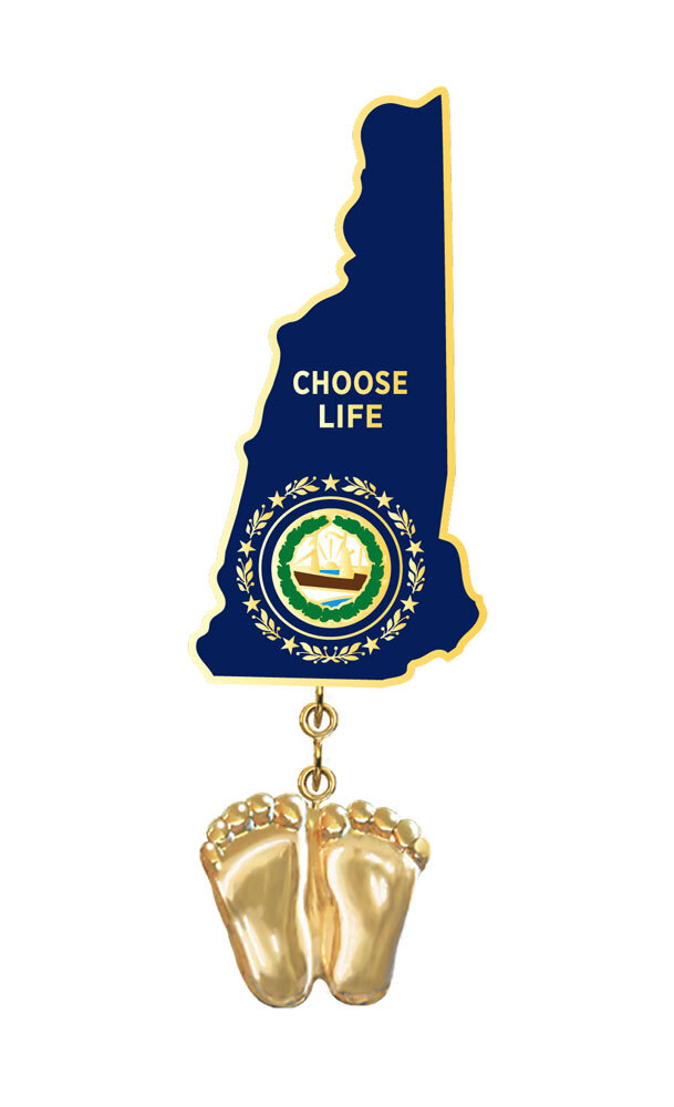 Precious Feet, 14K Gold Plated, New Hampshire Flag Jewelry, Lapel Pin