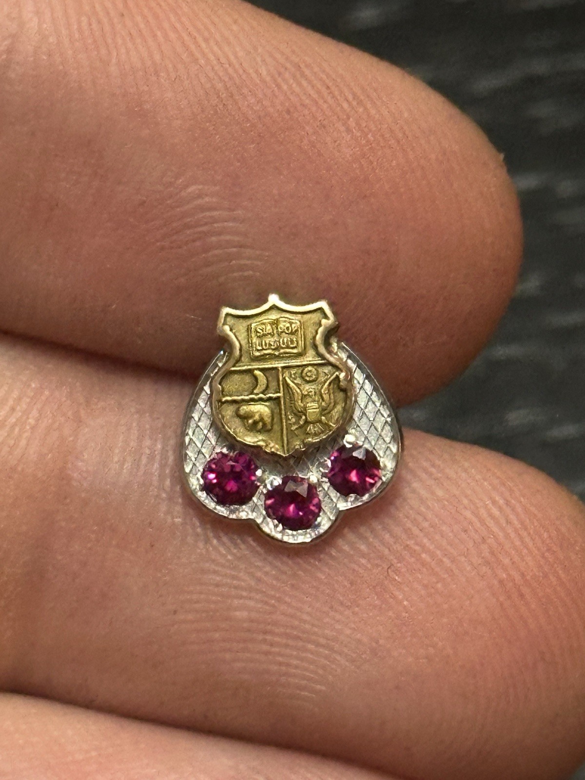 1/5 10k Gold Small Ruby Pin