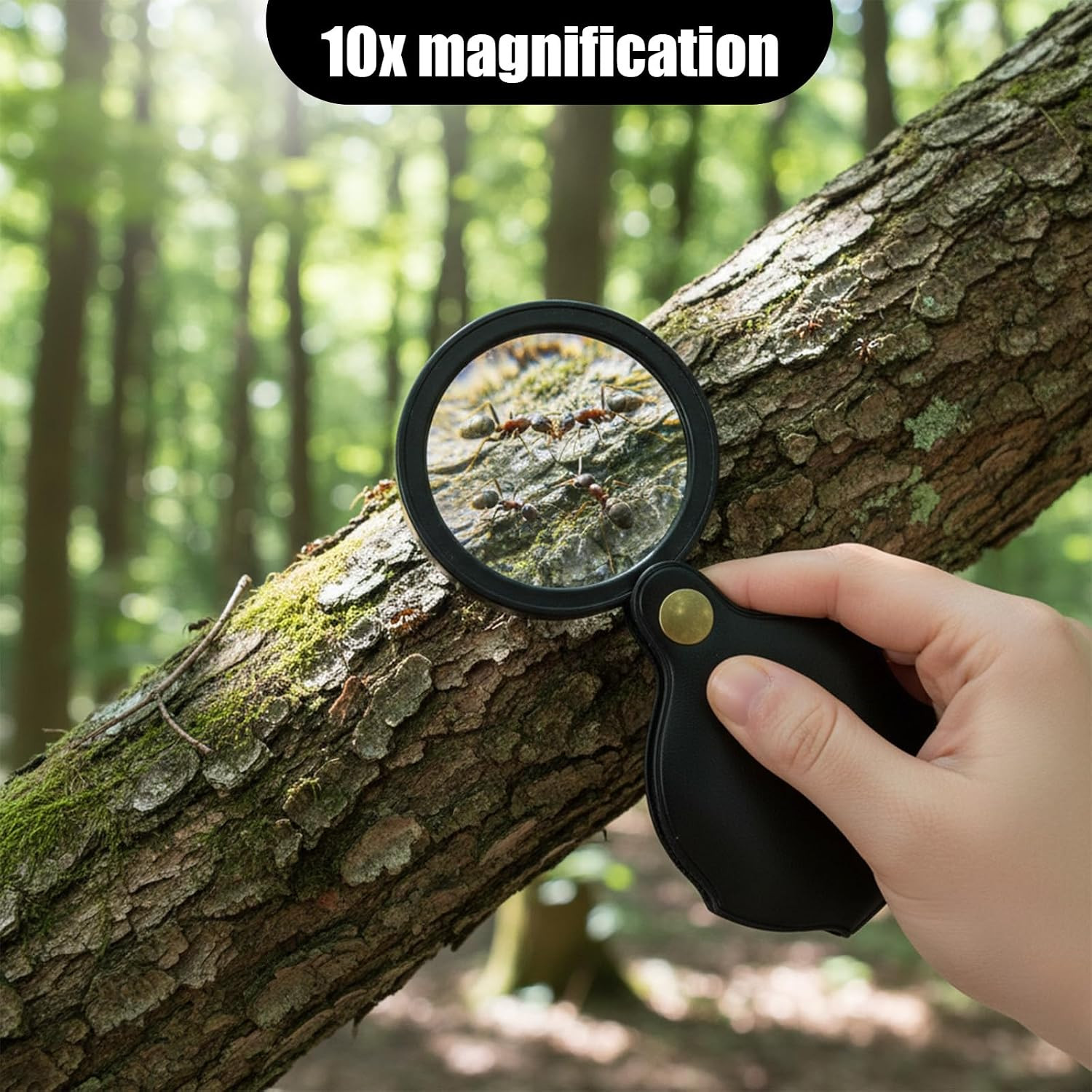 2-Pack 10X Pocket Magnifying Glasses for Reading, Travel, and Close Work