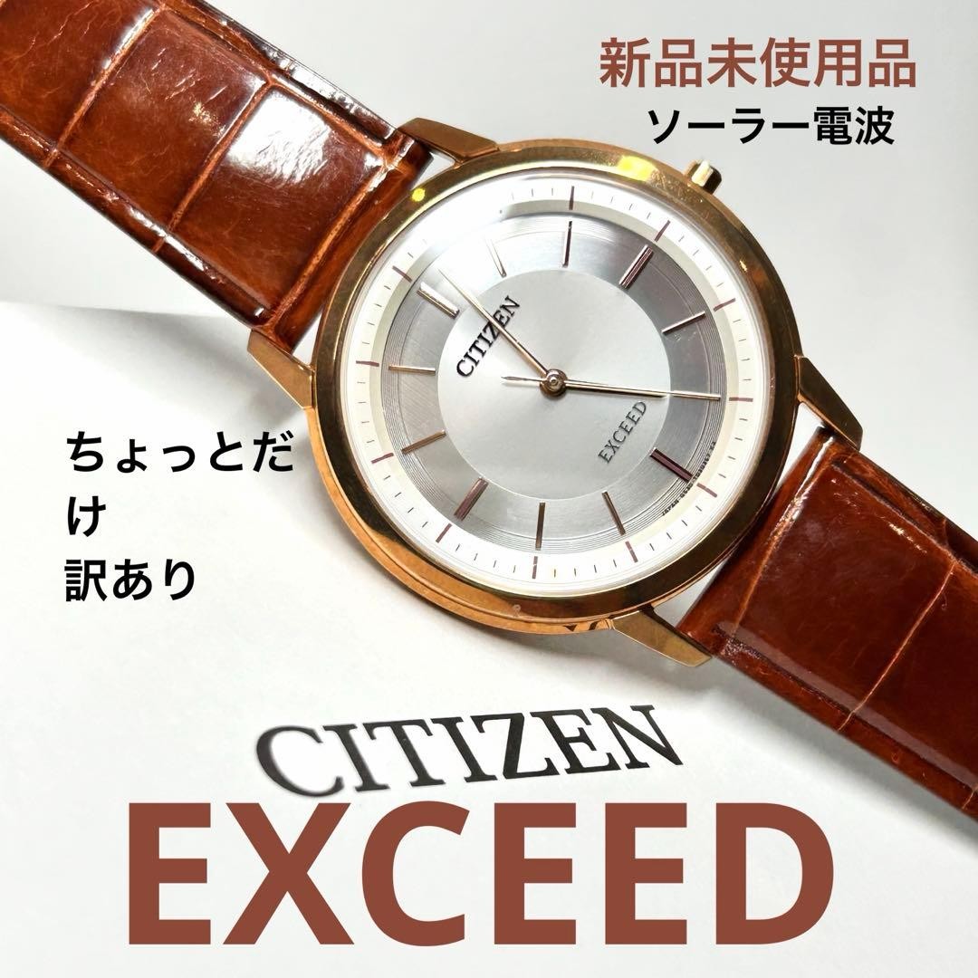 New Somewhat Defective Item CITIZEN EXCEED AR4002 17A