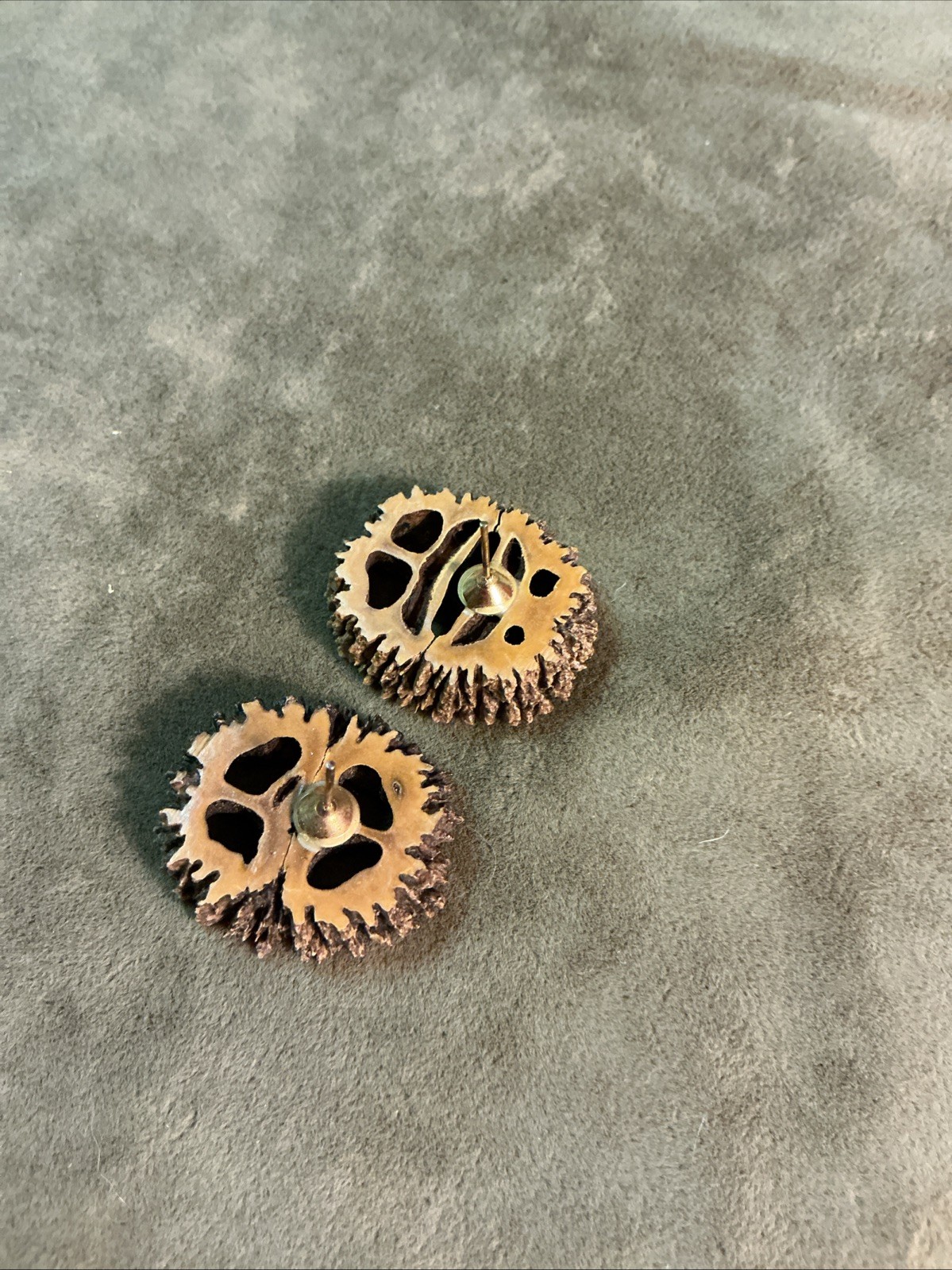 Vintage 1930S Black Walnut sliced wood earrings with Post Backs